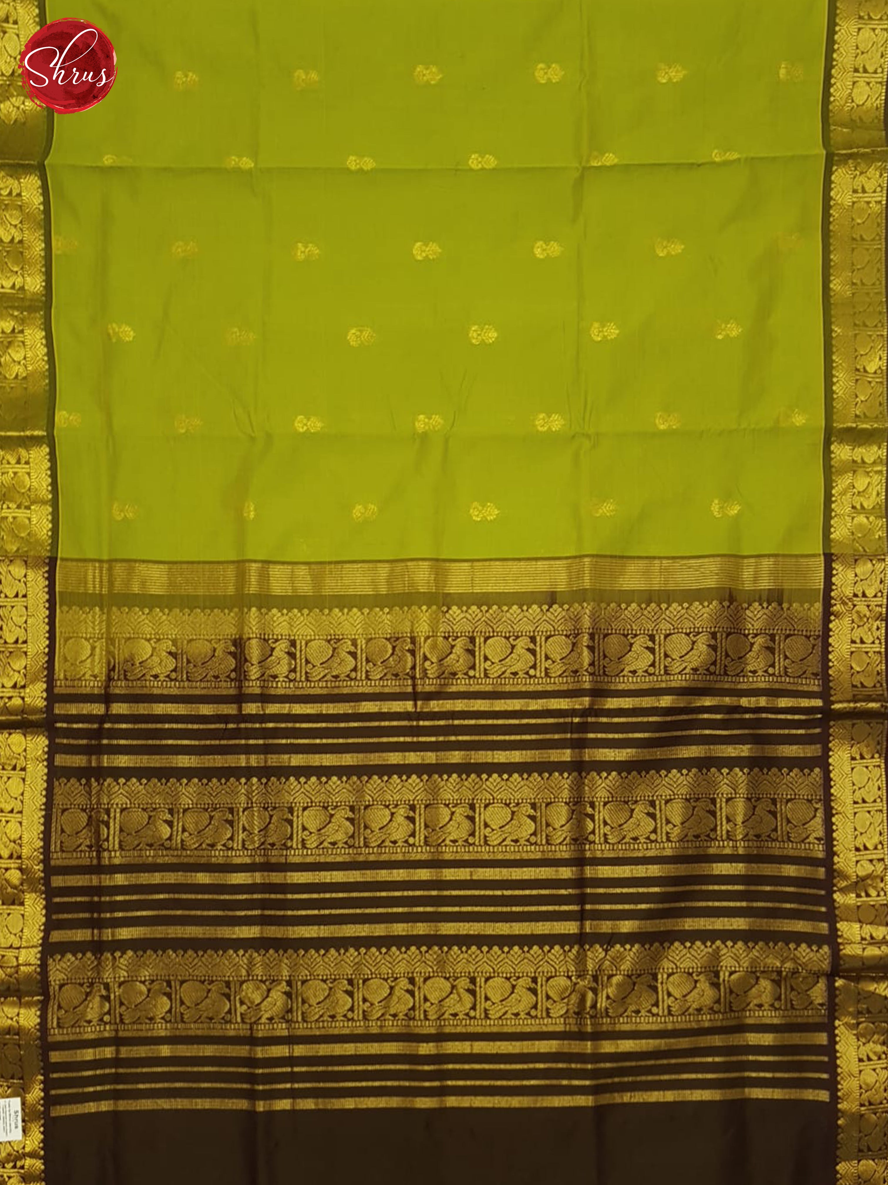Green And Brown - Shop on ShrusEternity.com