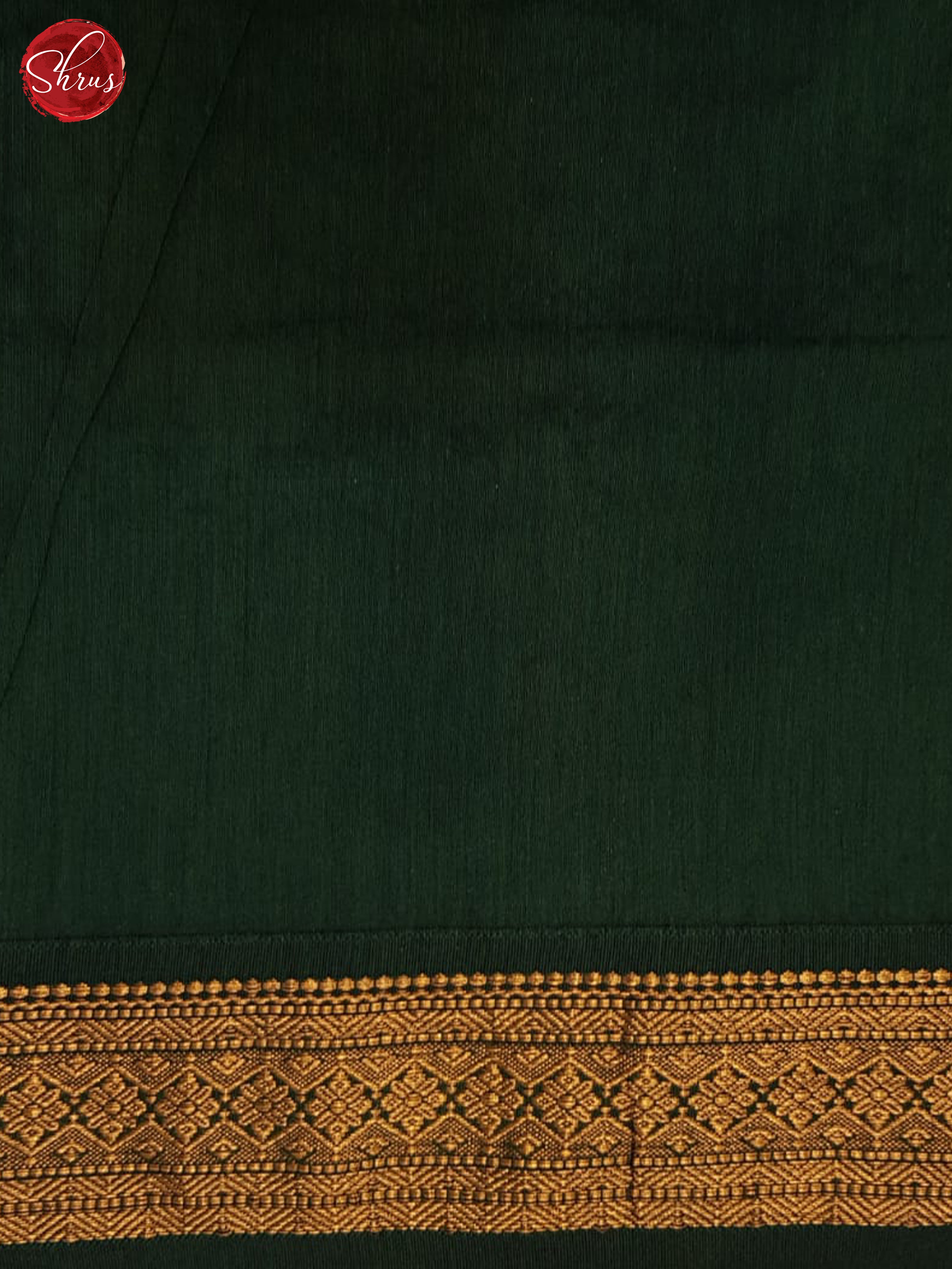 Brick Orange And Green- Kalyani Cotton Saree - Shop on ShrusEternity.com