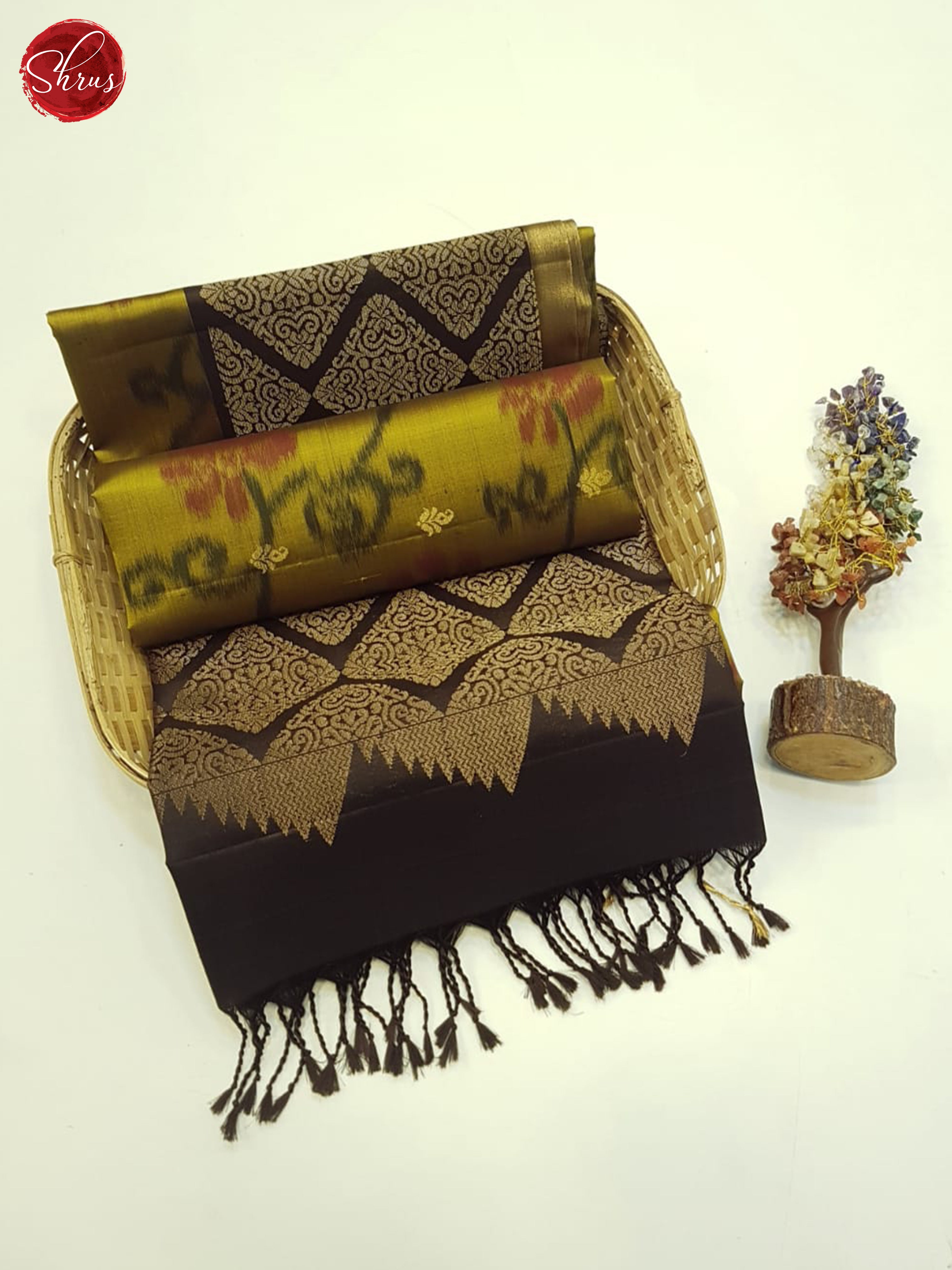Golden Green & Brown - Soft Silk Saree - Shop on ShrusEternity.com