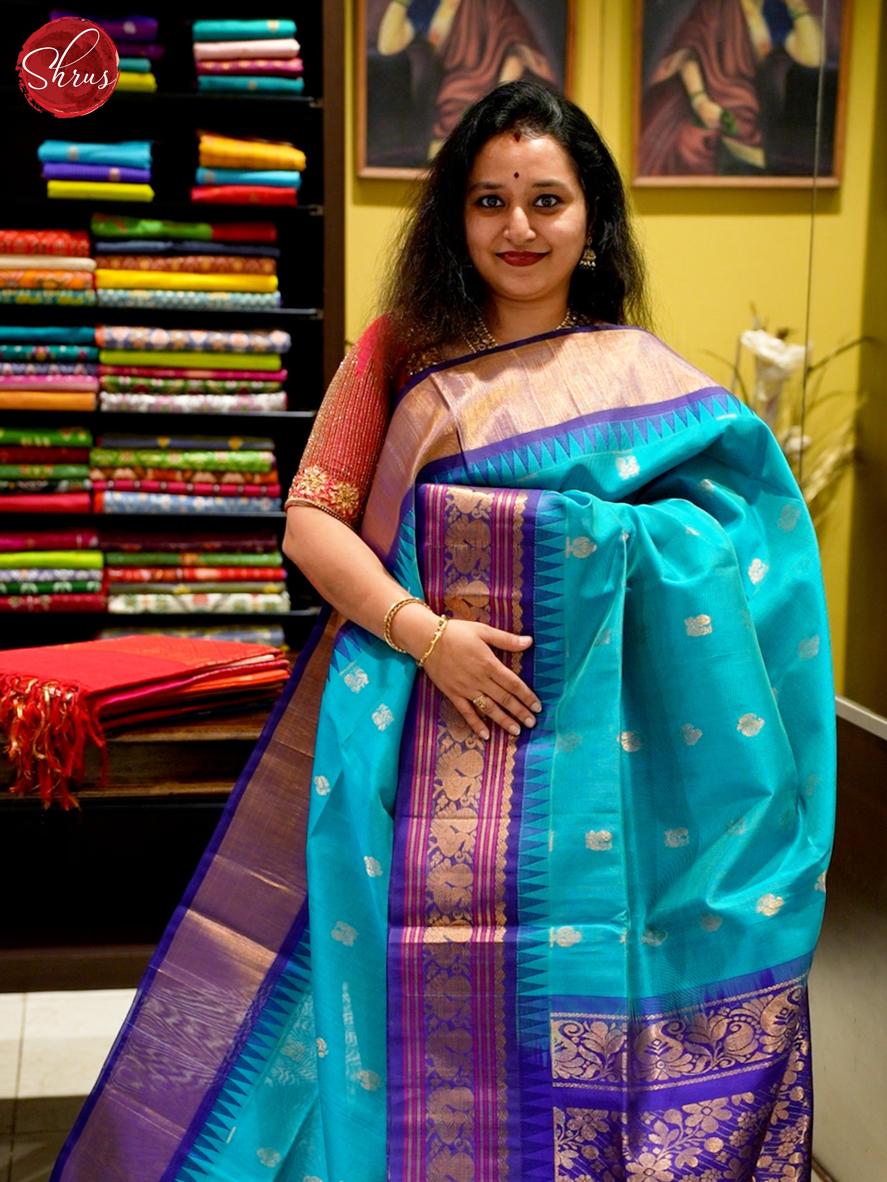 Sky Blue & Blue- Silk Cotton Saree - Shop on ShrusEternity.com