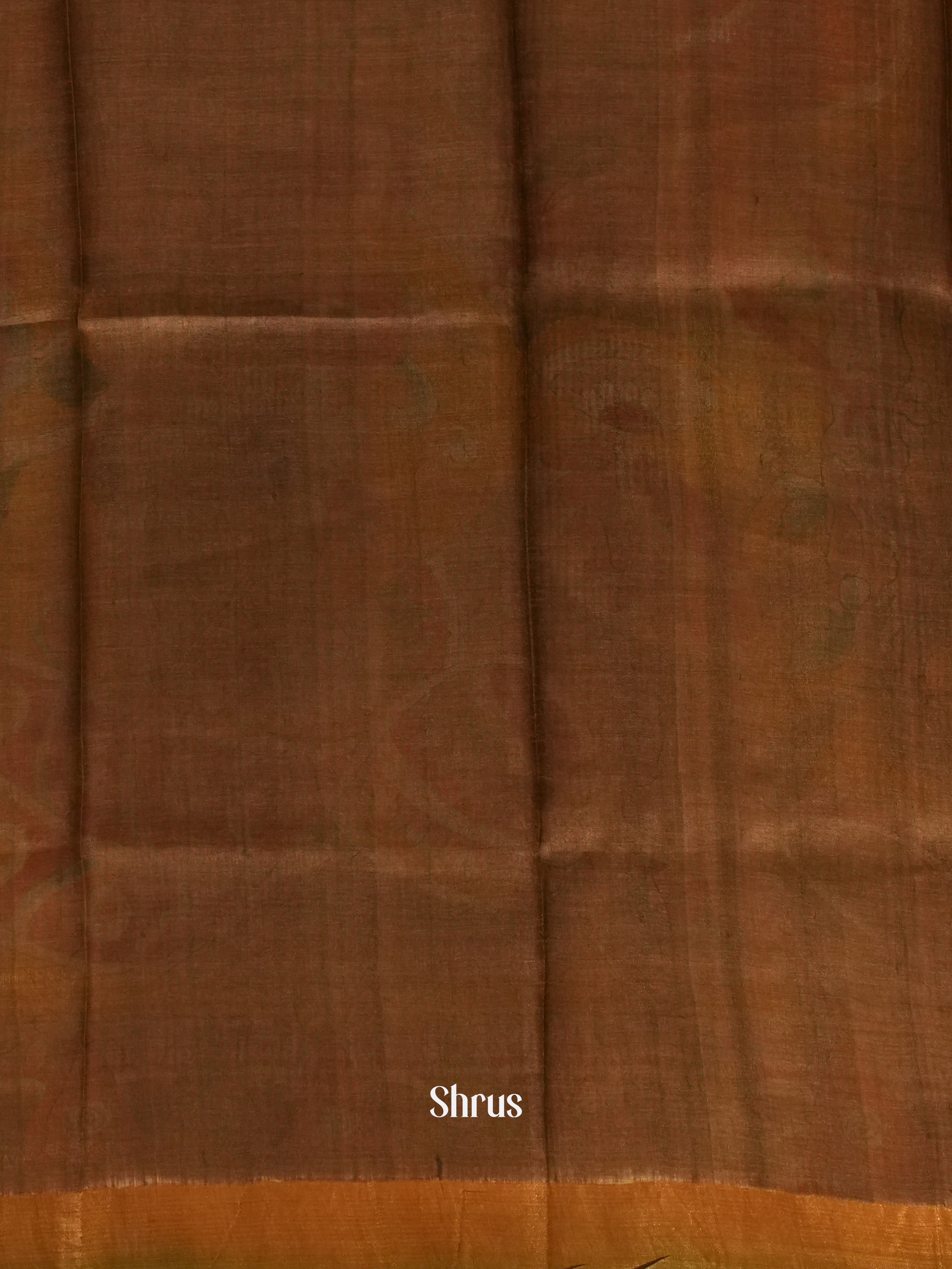 Brown & Green - Tussar Silk Saree - Shop on ShrusEternity.com