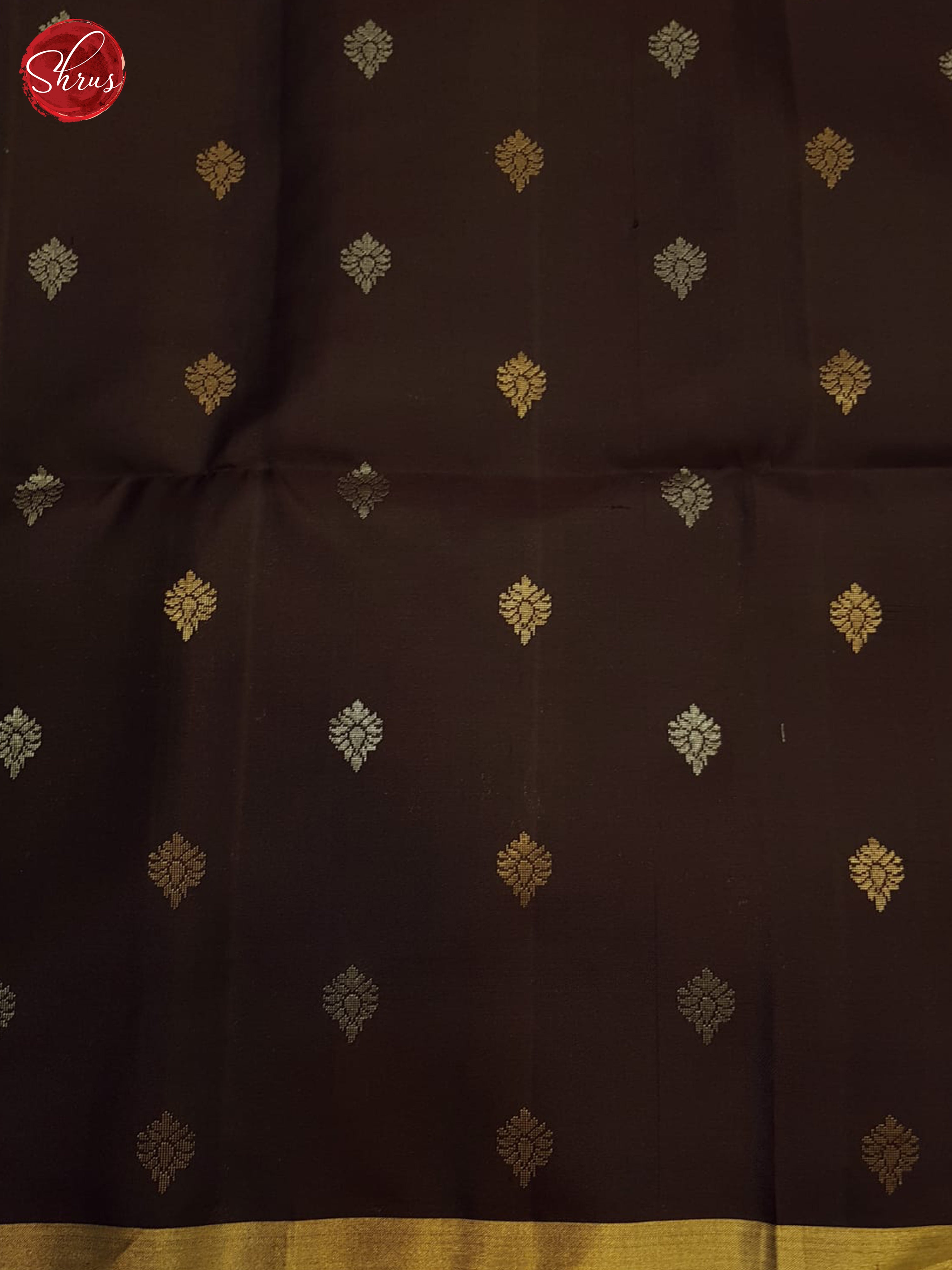 Blue And Brown- Soft Silk Saree - Shop on ShrusEternity.com