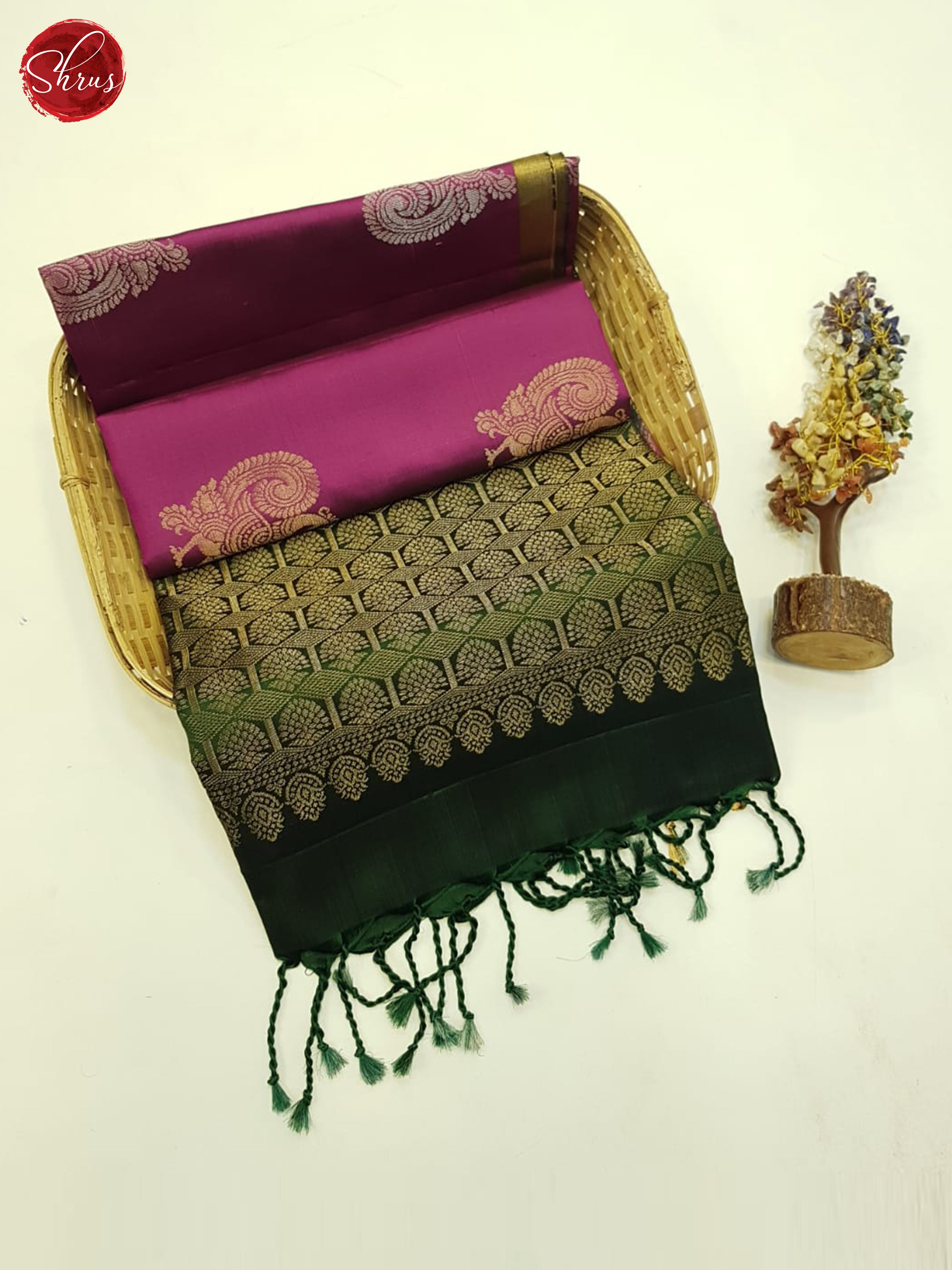 CBS16019 - Soft Silk Saree - Shop on ShrusEternity.com