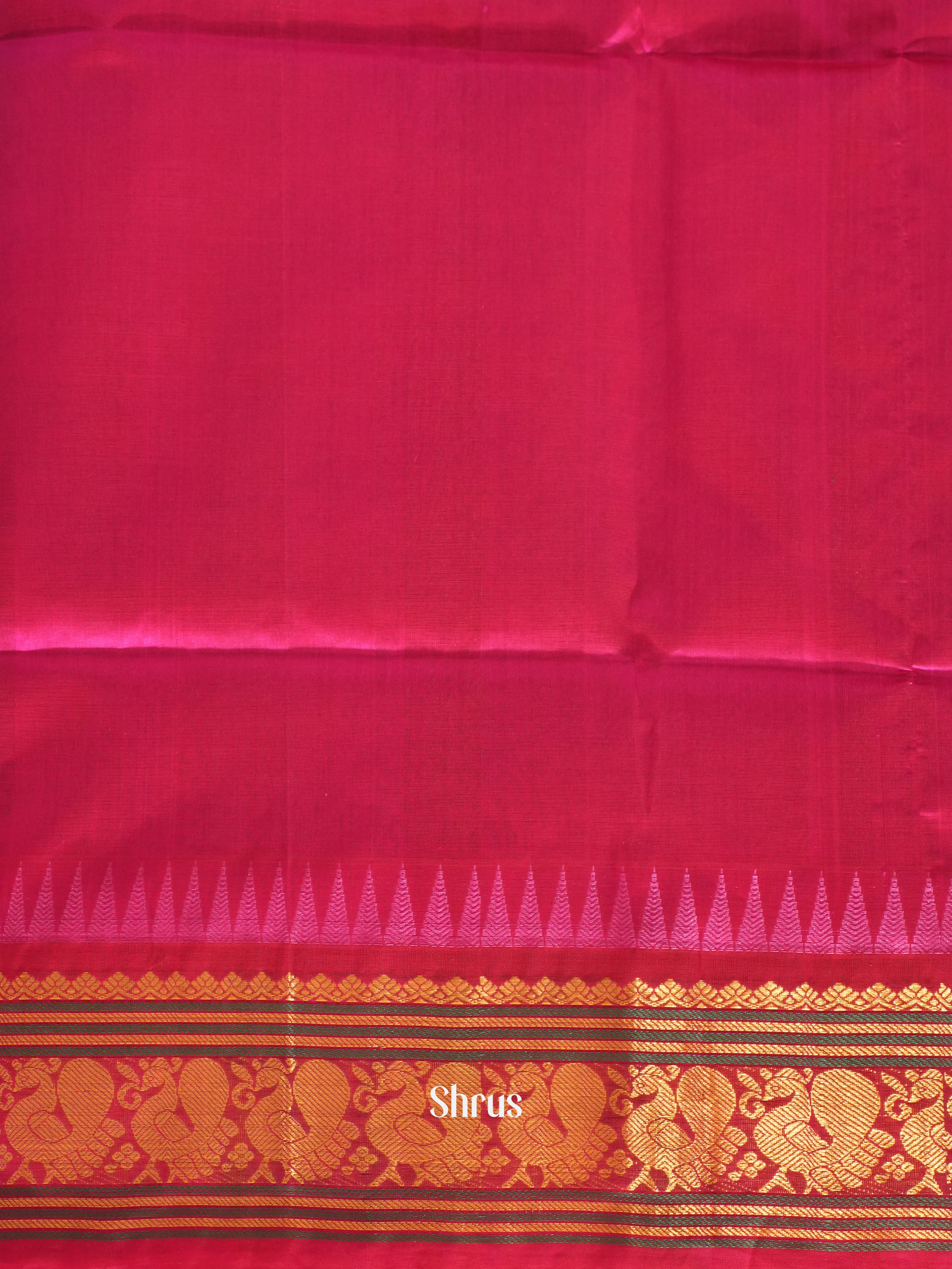 Blue And Pink-Silk cotton saree - Shop on ShrusEternity.com