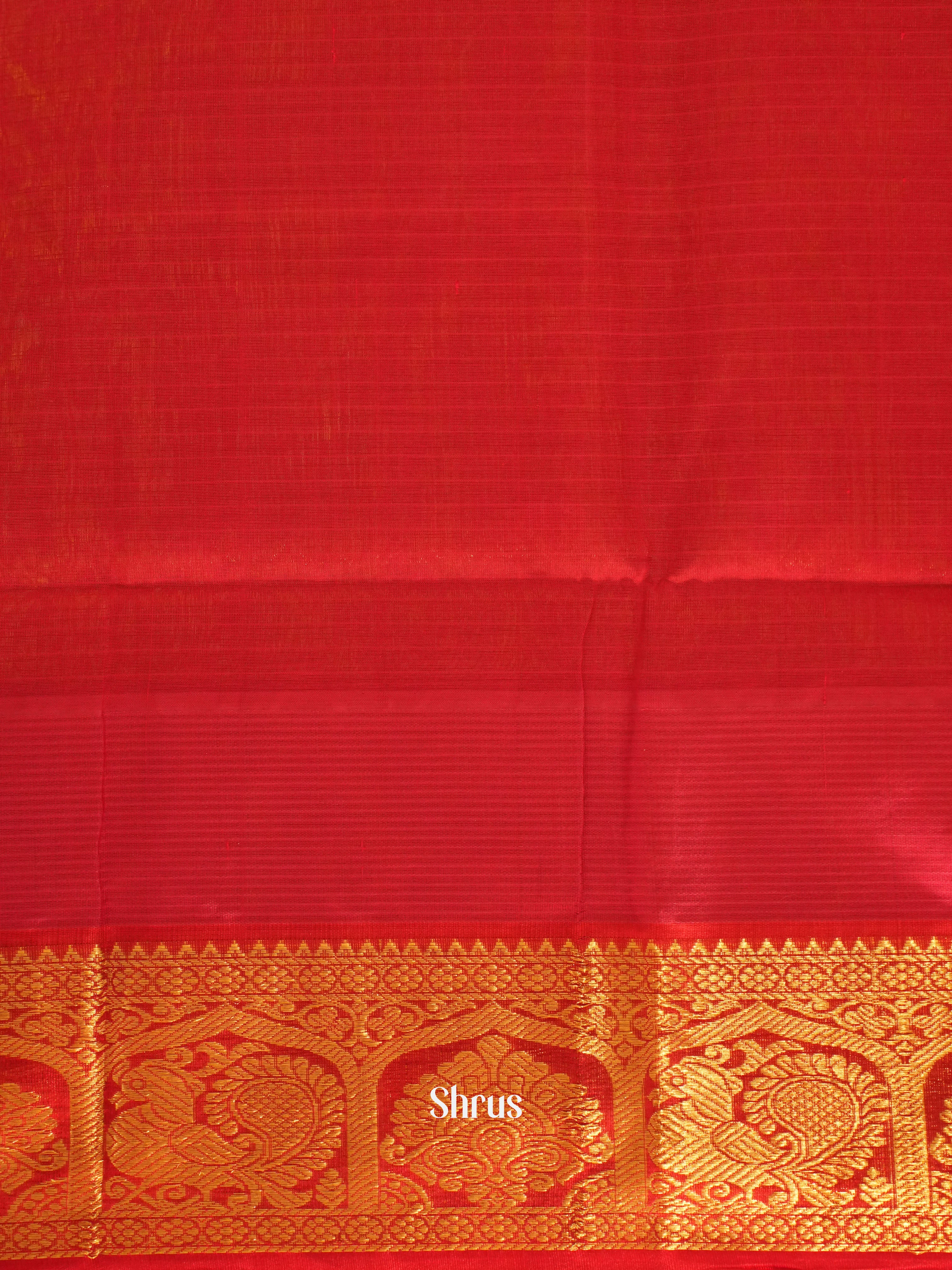 Green And Red-Silk Cotton Saree - Shop on ShrusEternity.com
