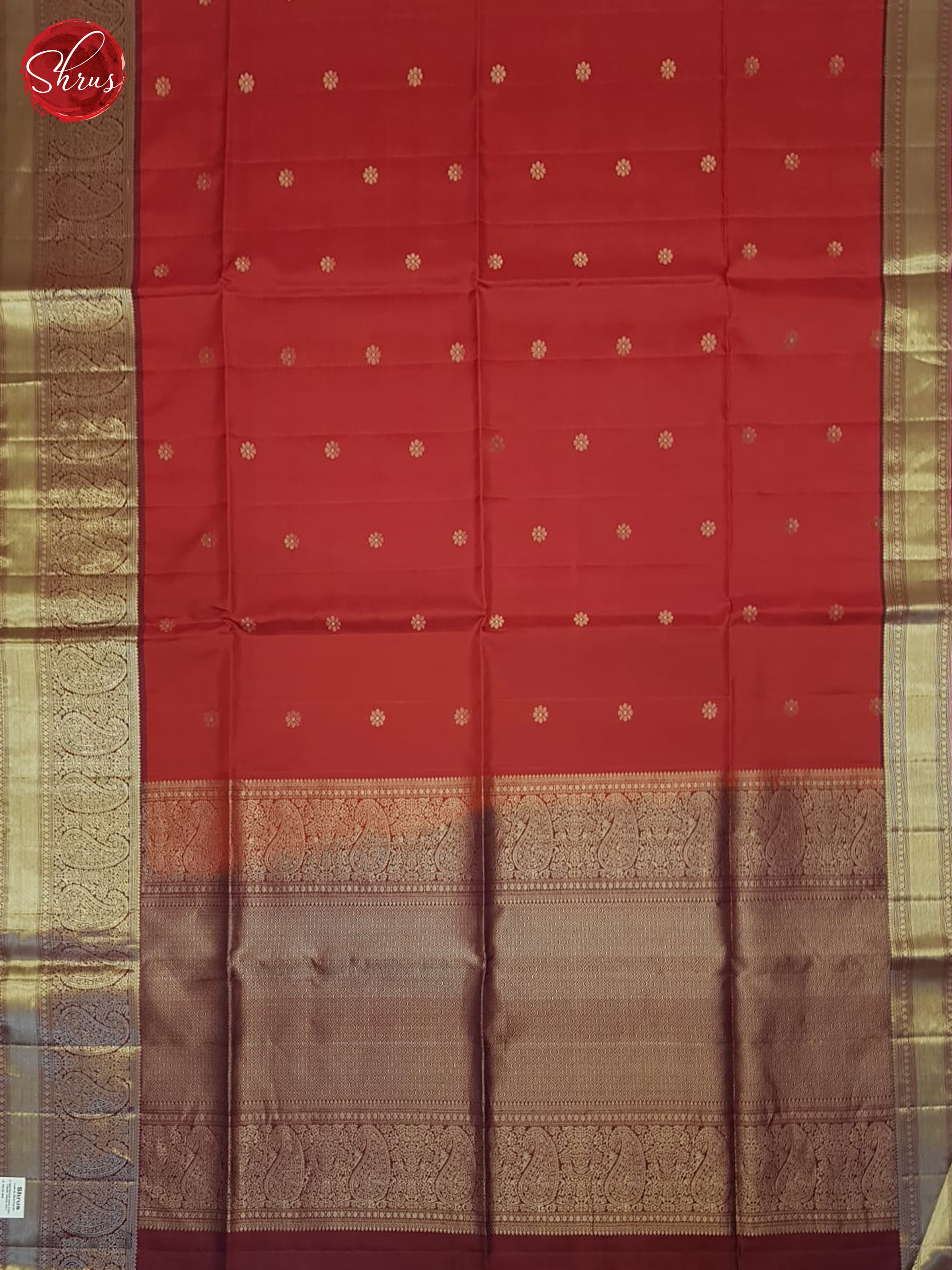 Red And Marron - Shop on ShrusEternity.com