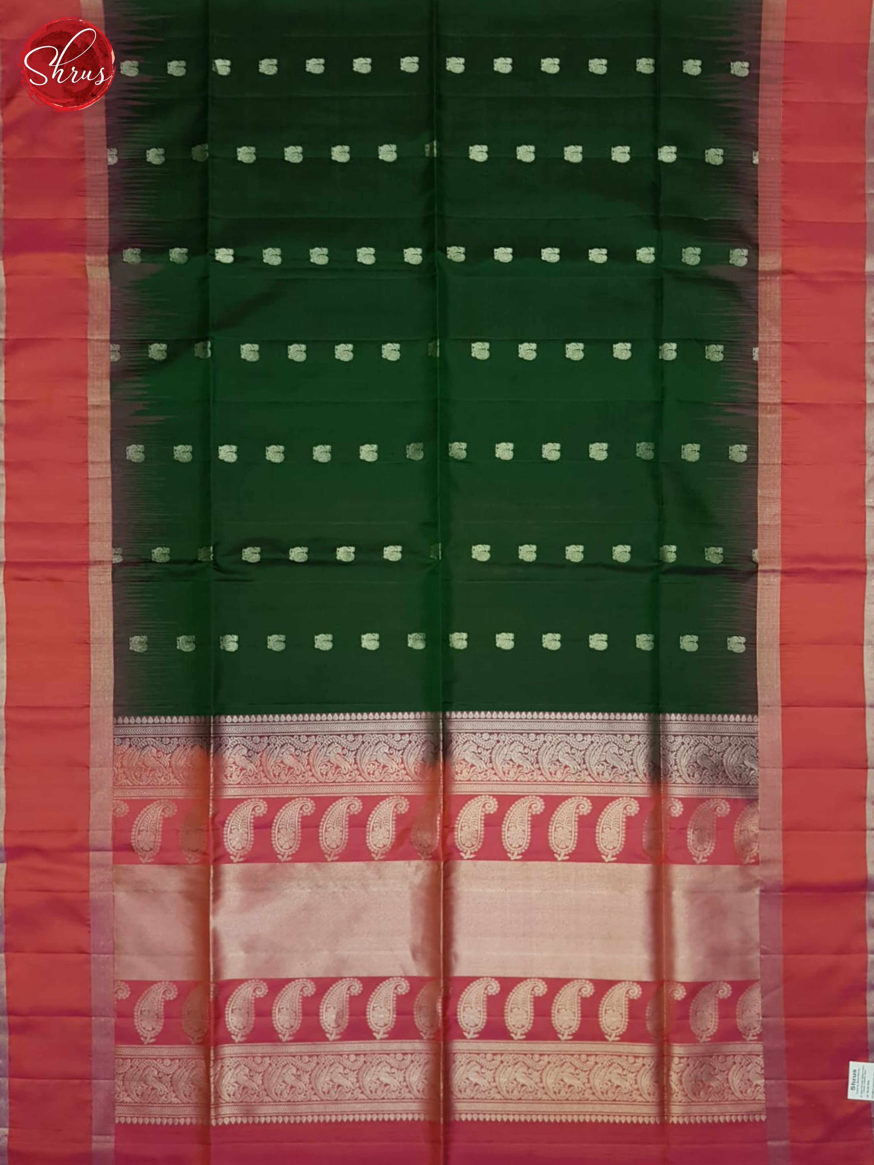 Green And Pink - Shop on ShrusEternity.com