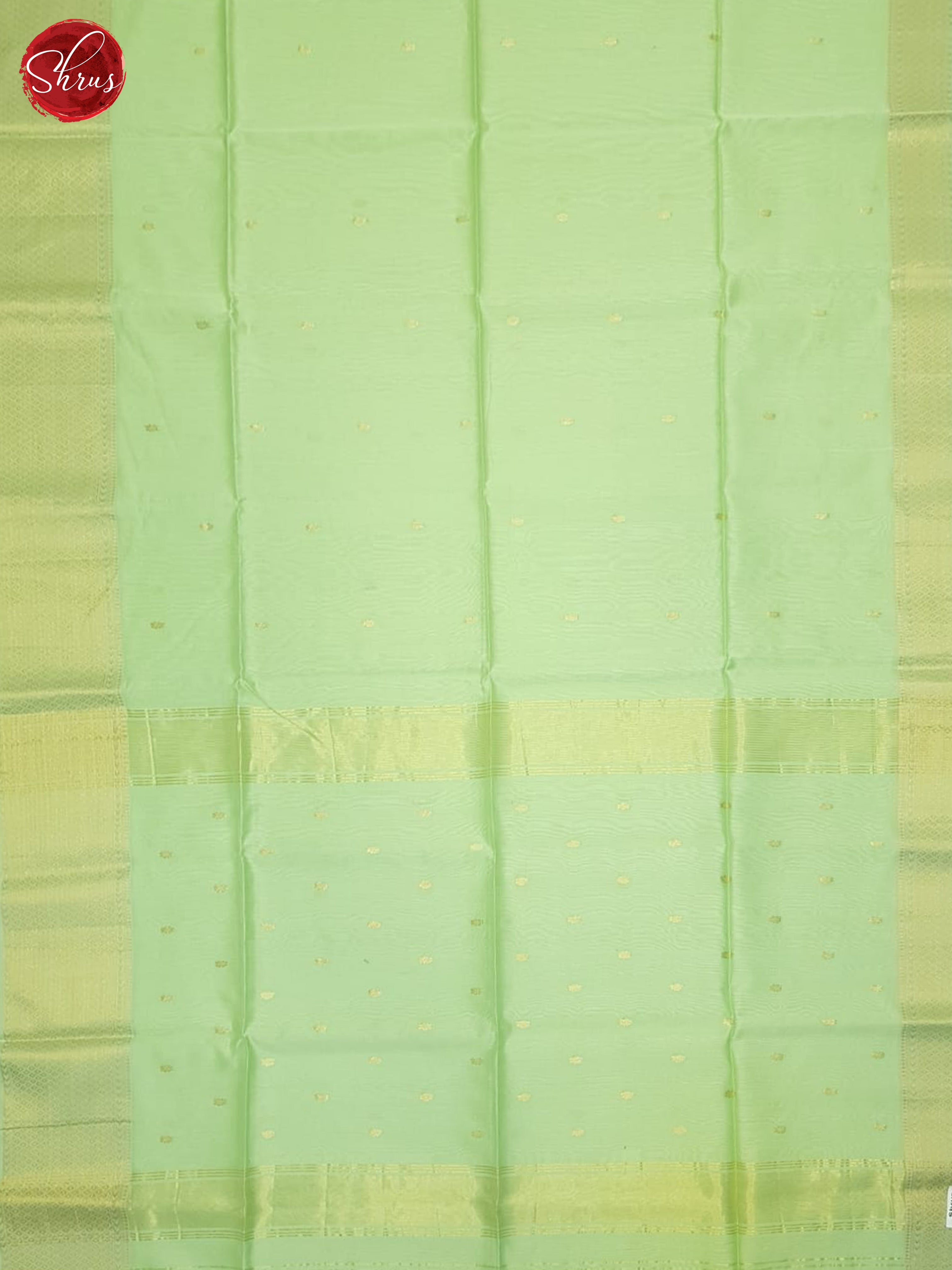 Pista Green(Single Tone) - Maheshwari silkcotton Saree - Shop on ShrusEternity.com