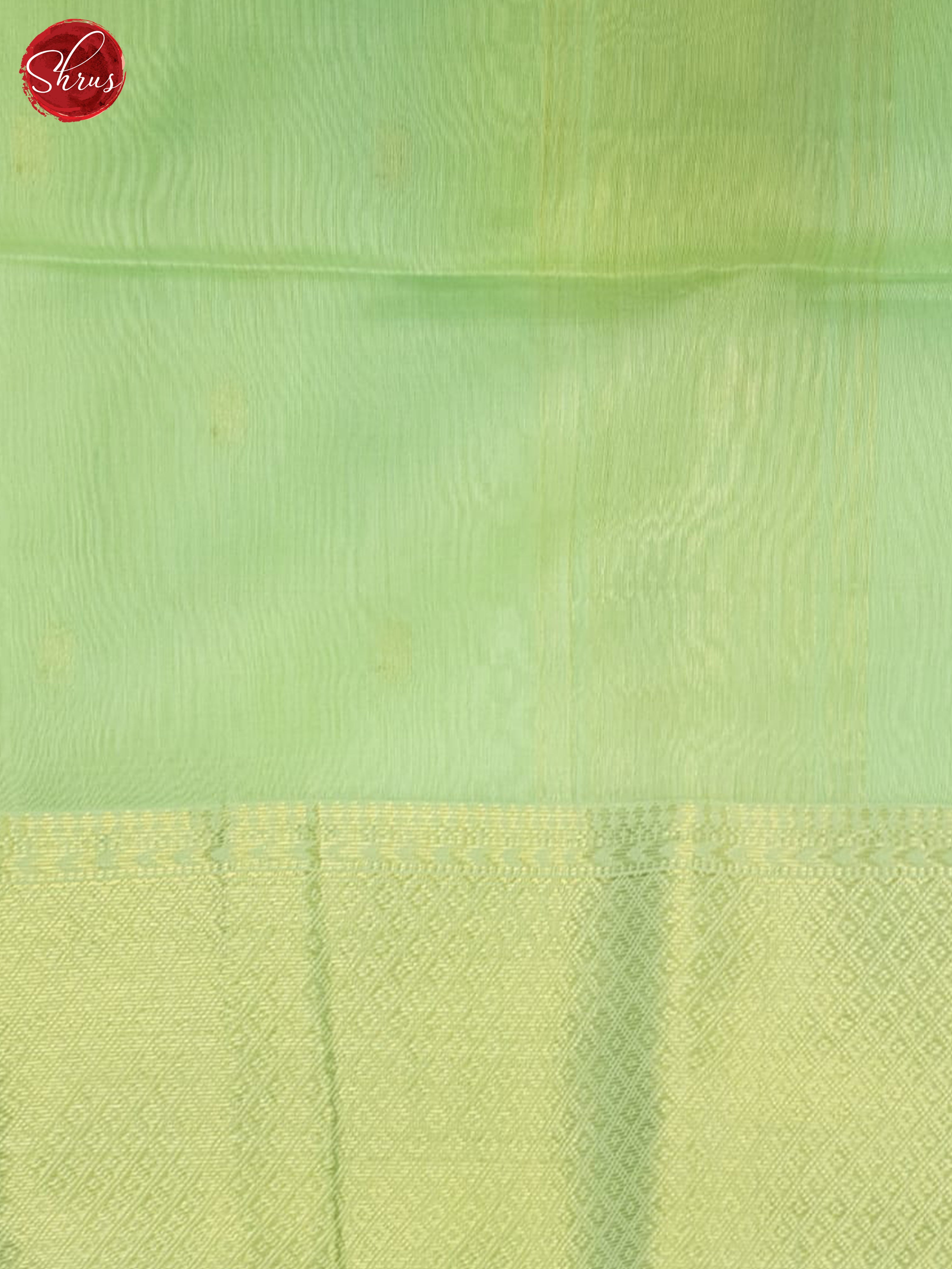 Pista Green(Single Tone) - Maheshwari silkcotton Saree - Shop on ShrusEternity.com