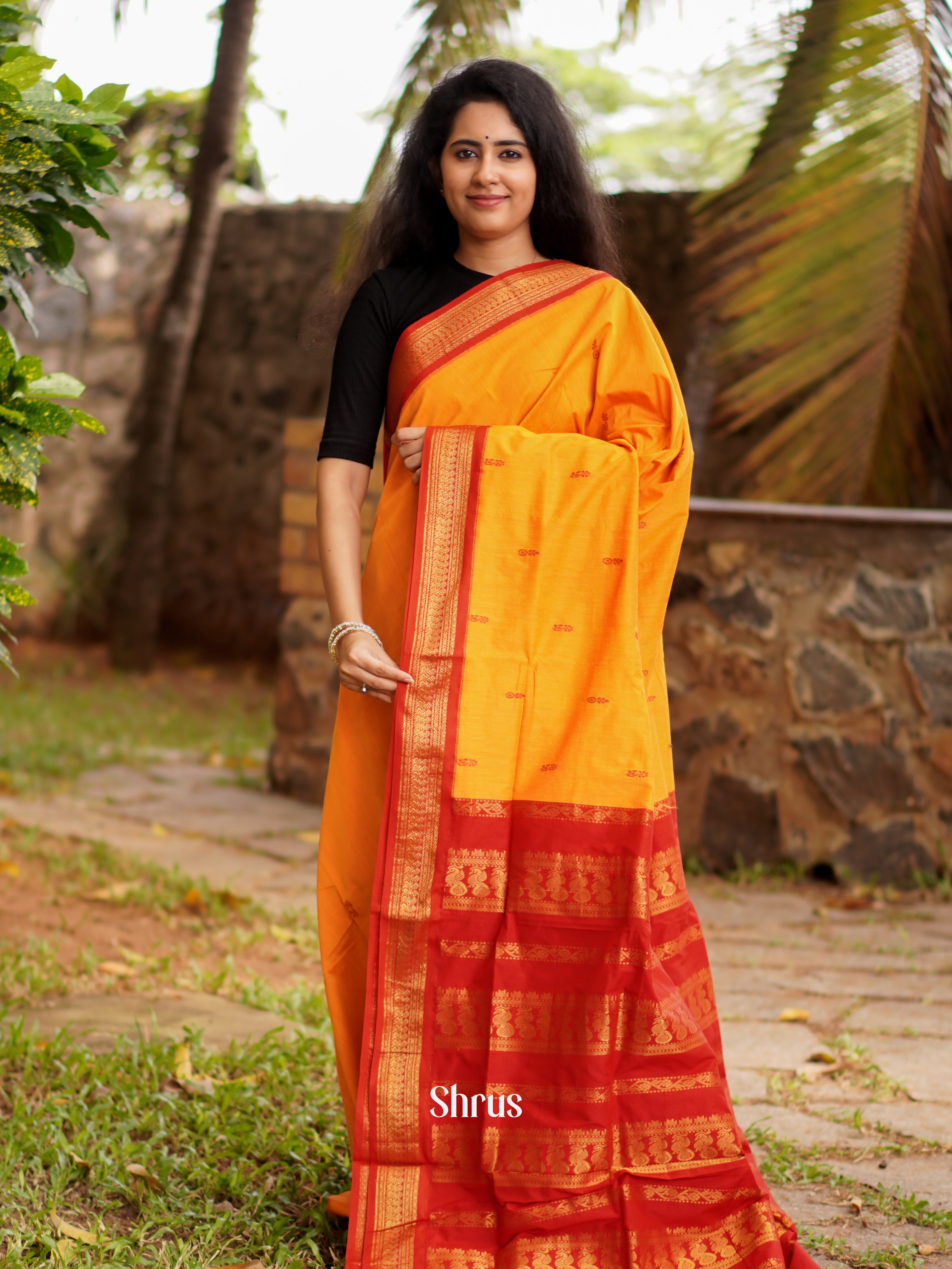 Mustard & Red - Kalyani Cotton Saree - Shop on ShrusEternity.com