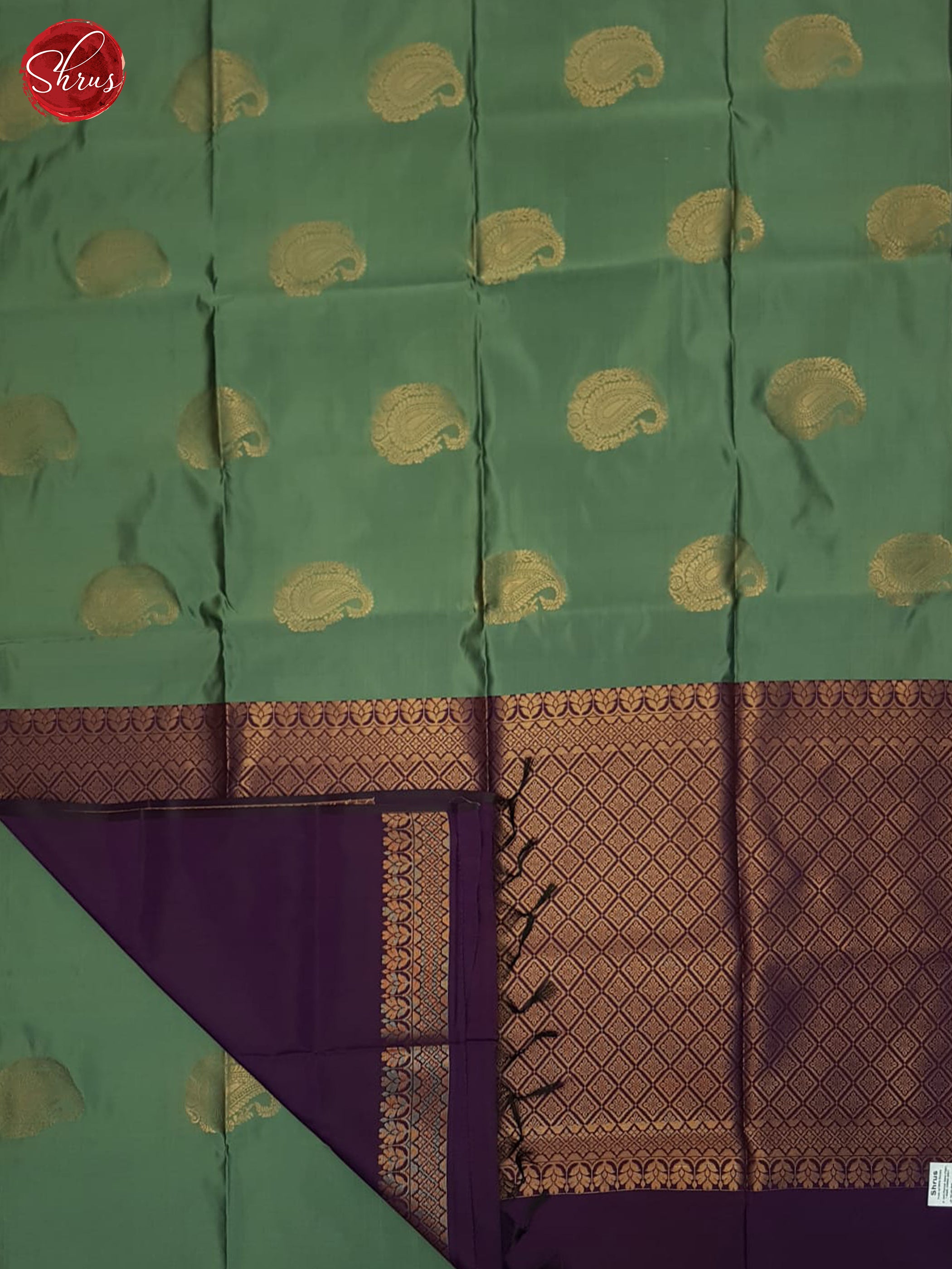 Pastel green & Purple- Semi Softsilk Saree - Shop on ShrusEternity.com