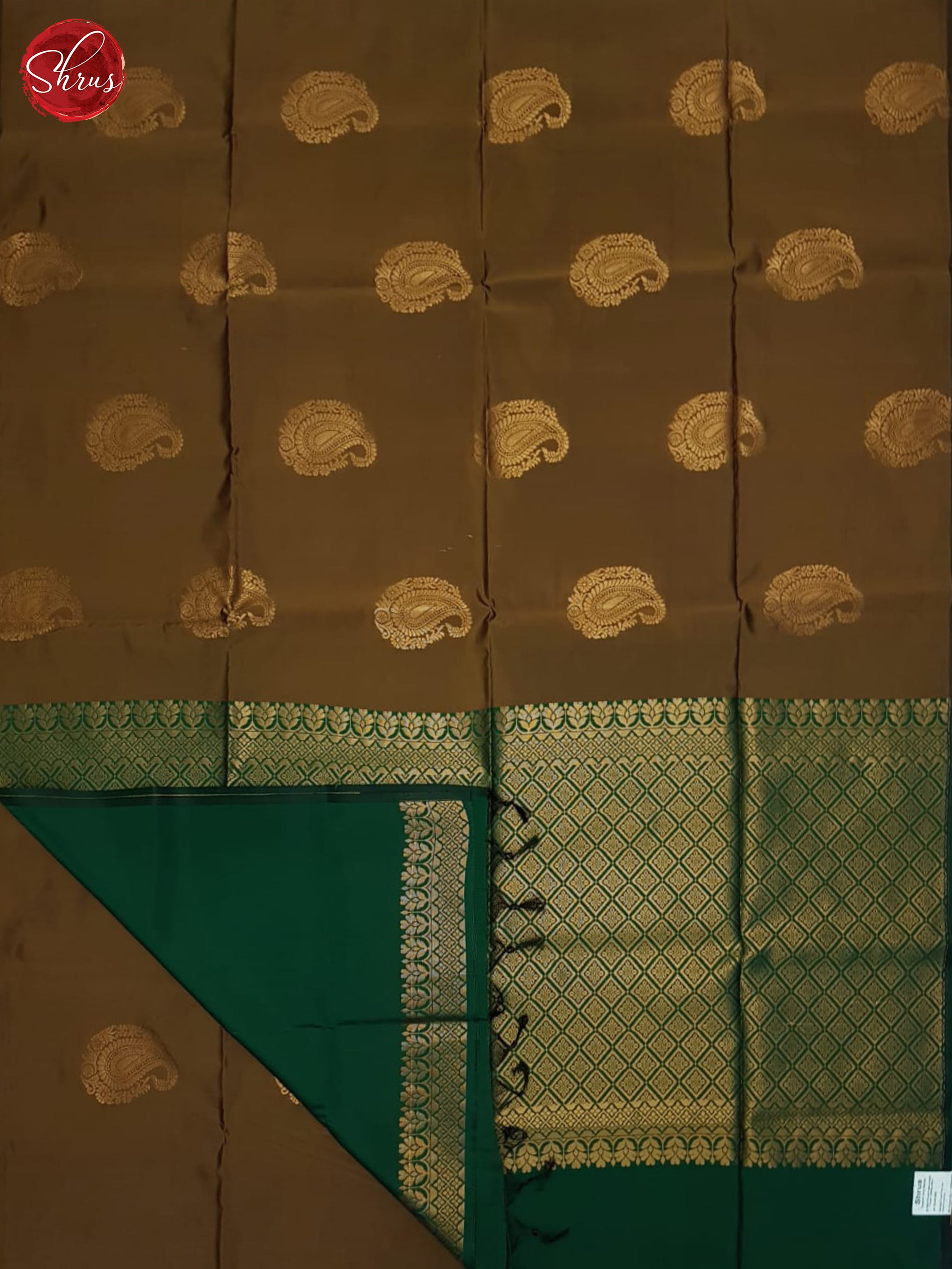 Brown & Green- Semi Softsilk Saree - Shop on ShrusEternity.com