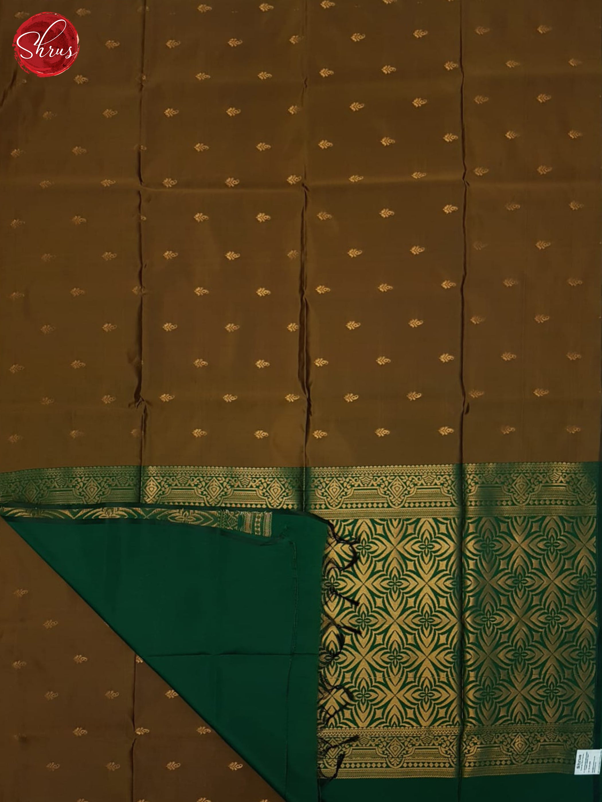 Brown & Green - Semi Softsilk Saree - Shop on ShrusEternity.com