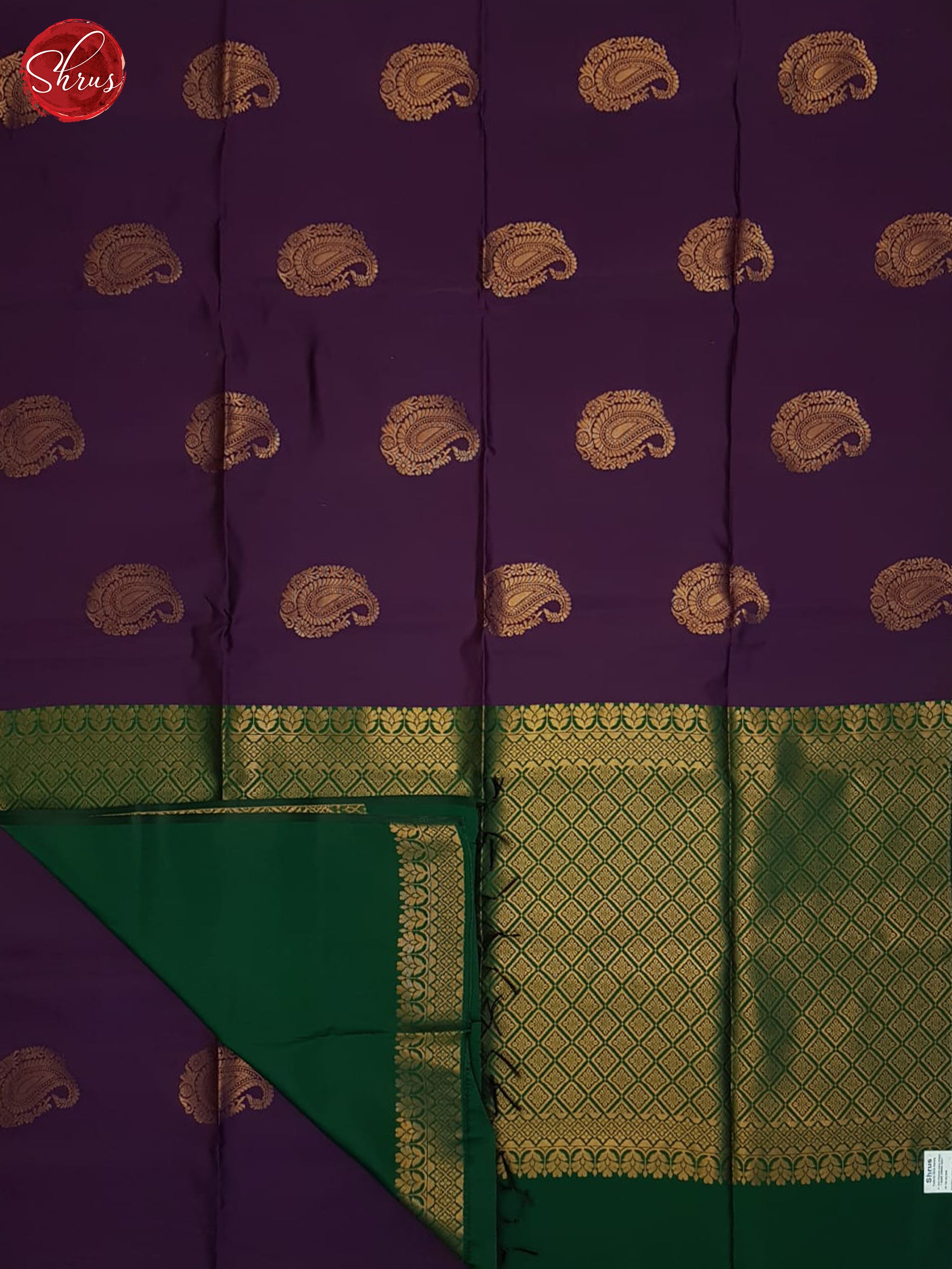 Eggplant & Green - Semi Softsilk Saree - Shop on ShrusEternity.com