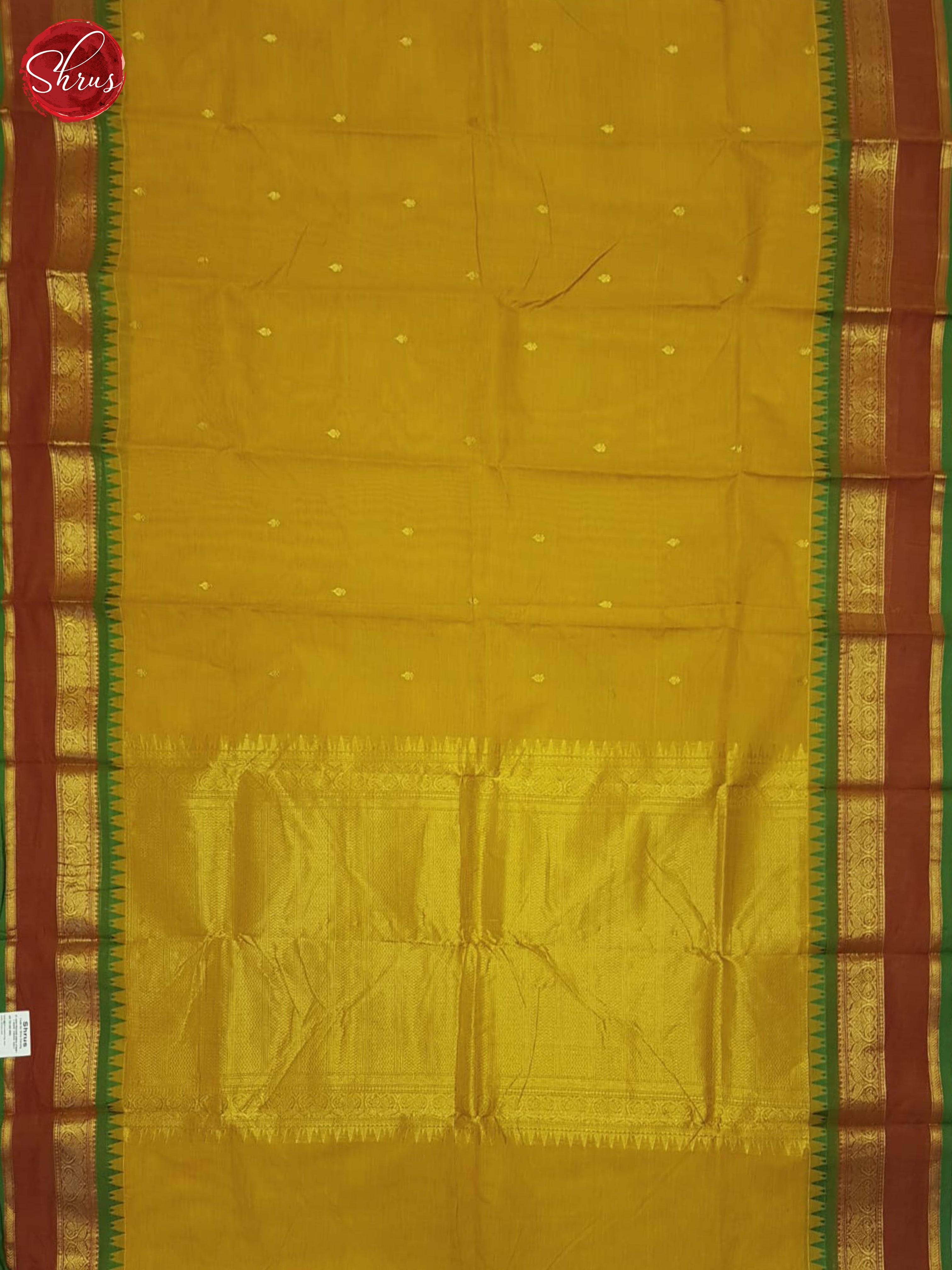 Mustard & Brown - Kanchi Cotton Saree - Shop on ShrusEternity.com
