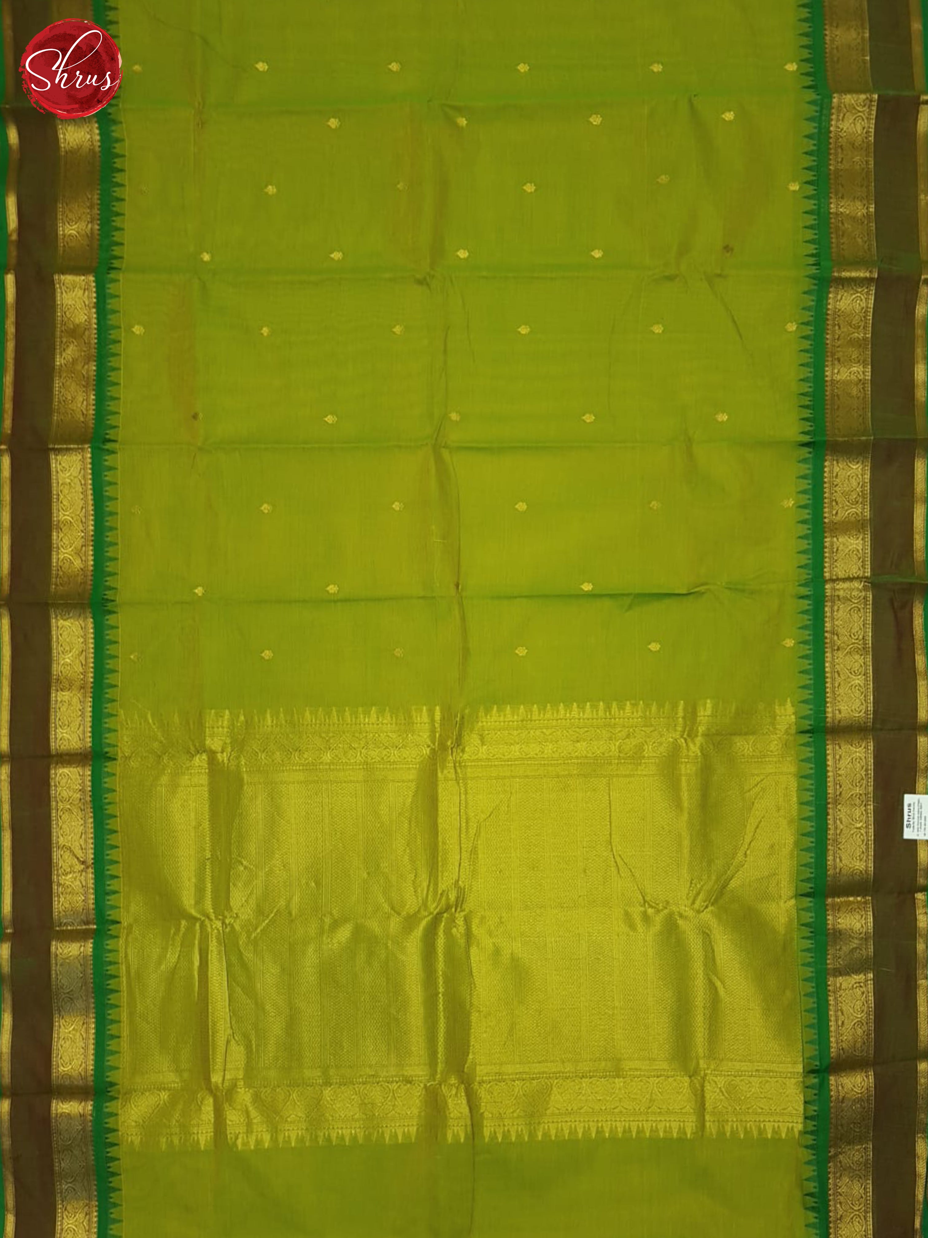 Green & Brown - Kanchi Cotton Saree - Shop on ShrusEternity.com
