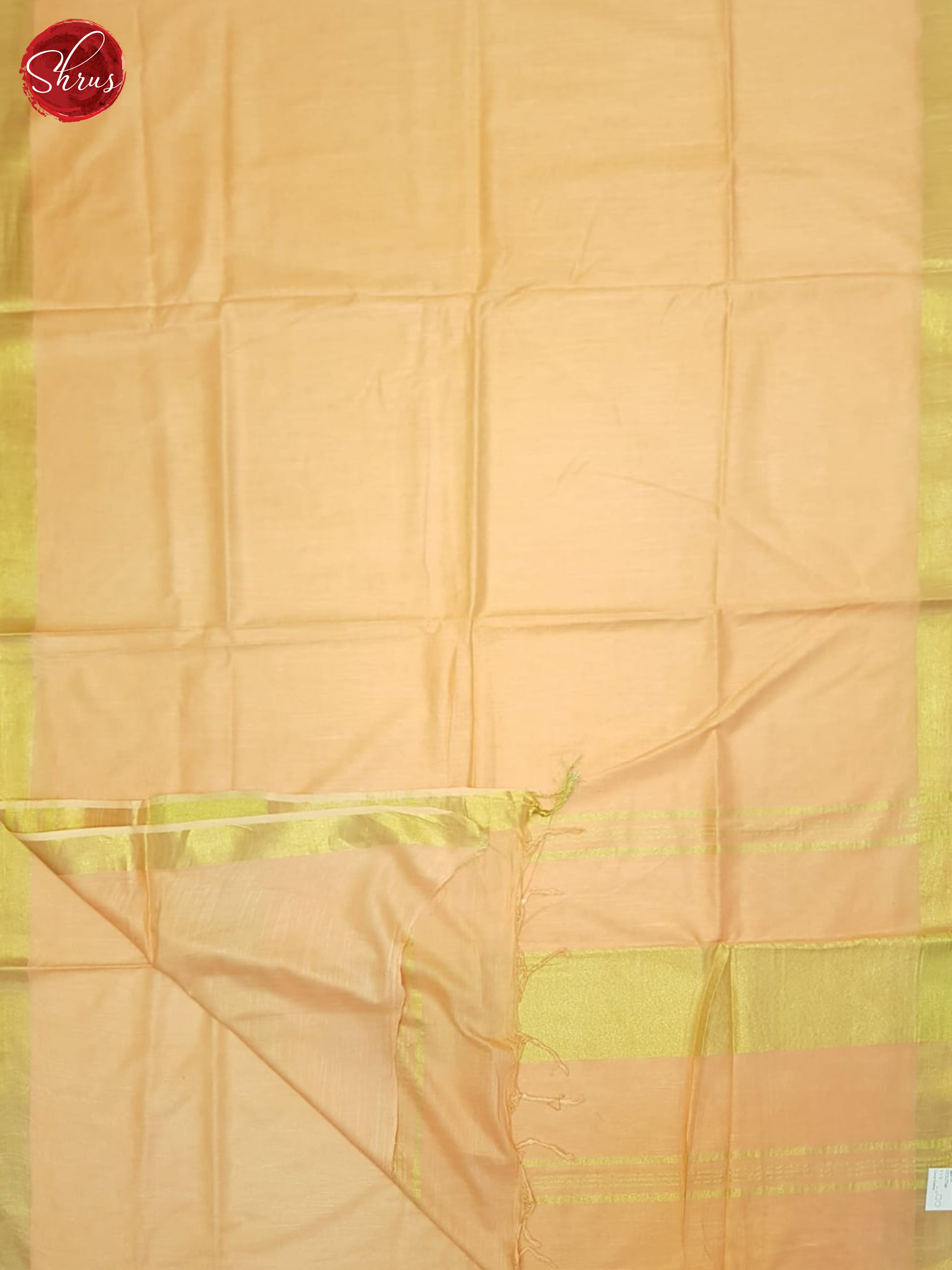 CCS27346 - Shop on ShrusEternity.com