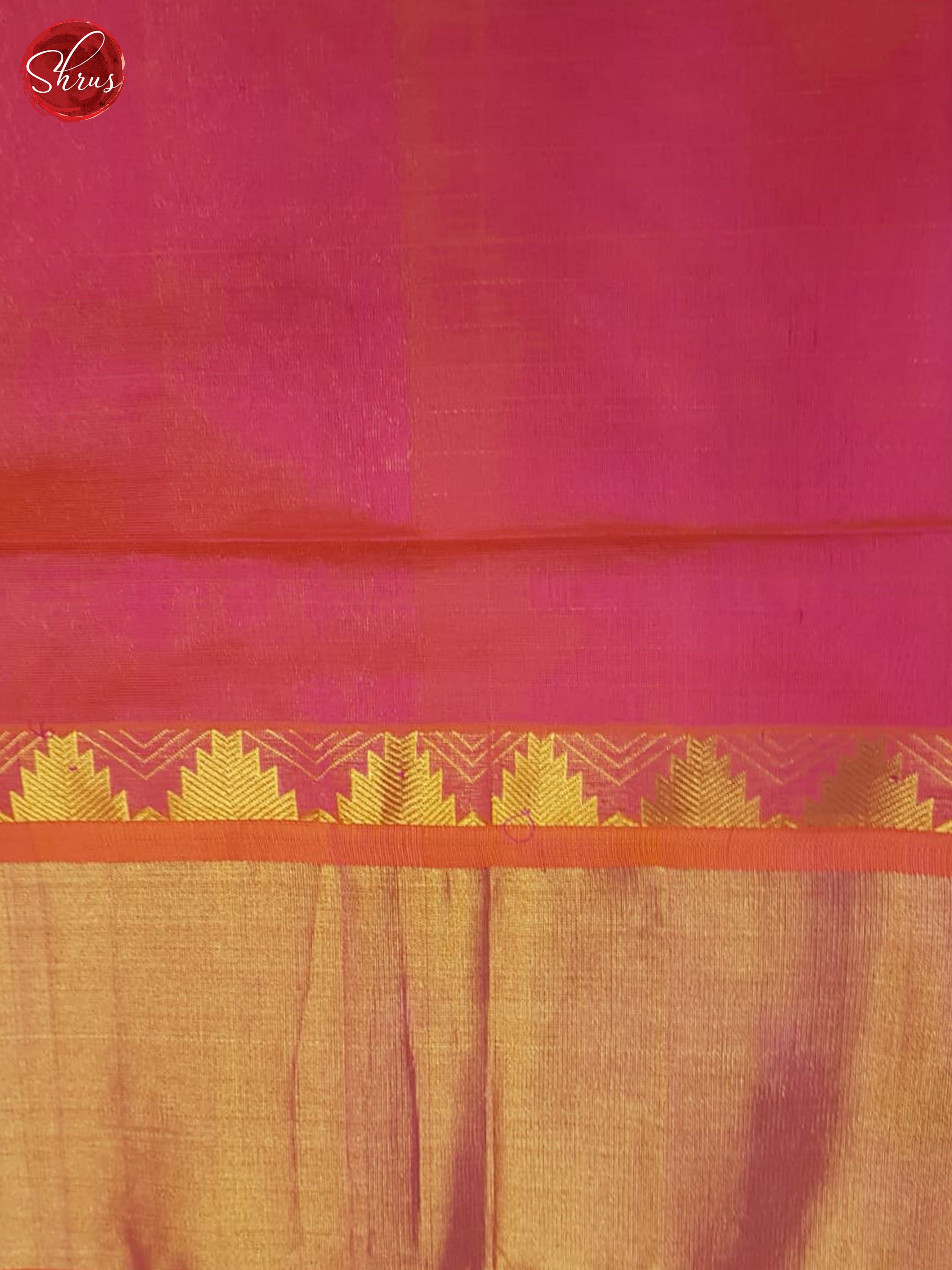 CCS30090 - Silk Cotton Saree - Shop on ShrusEternity.com