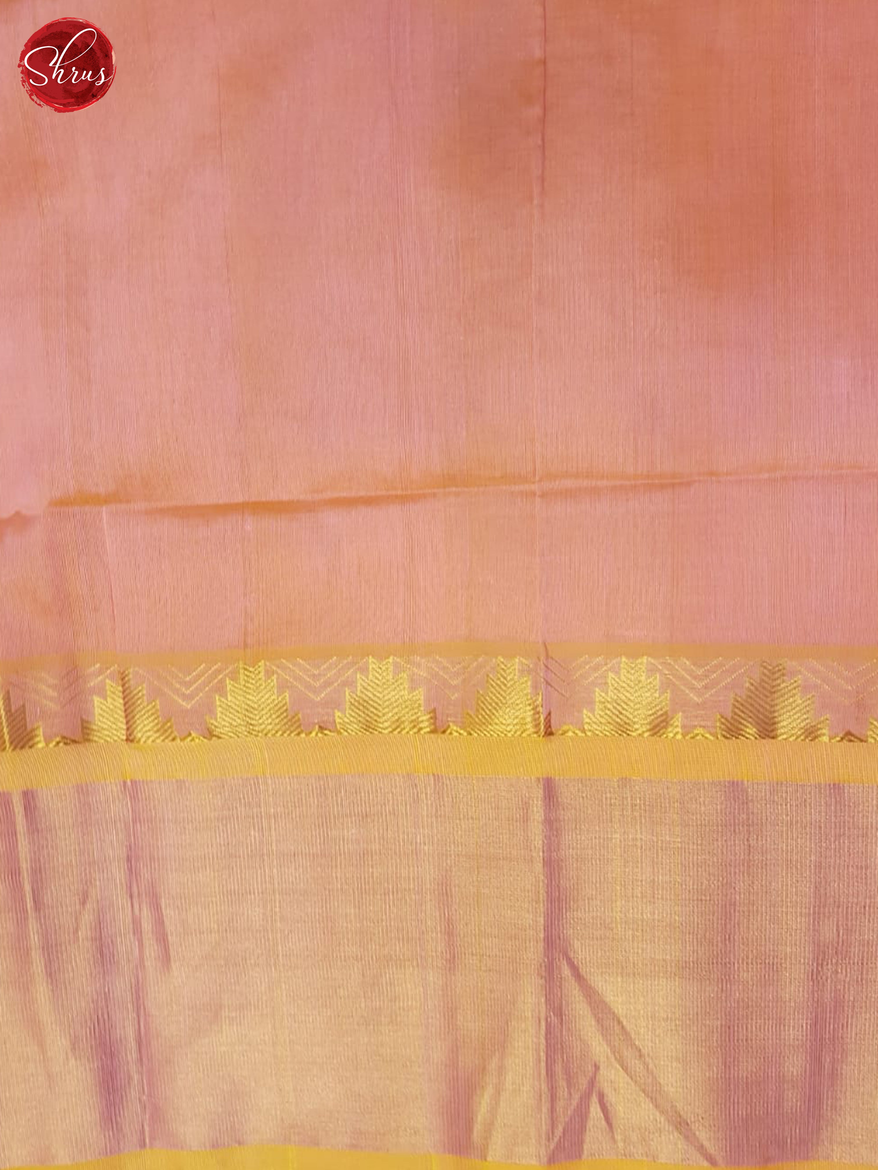 CCS30093 - Silk Cotton Saree - Shop on ShrusEternity.com