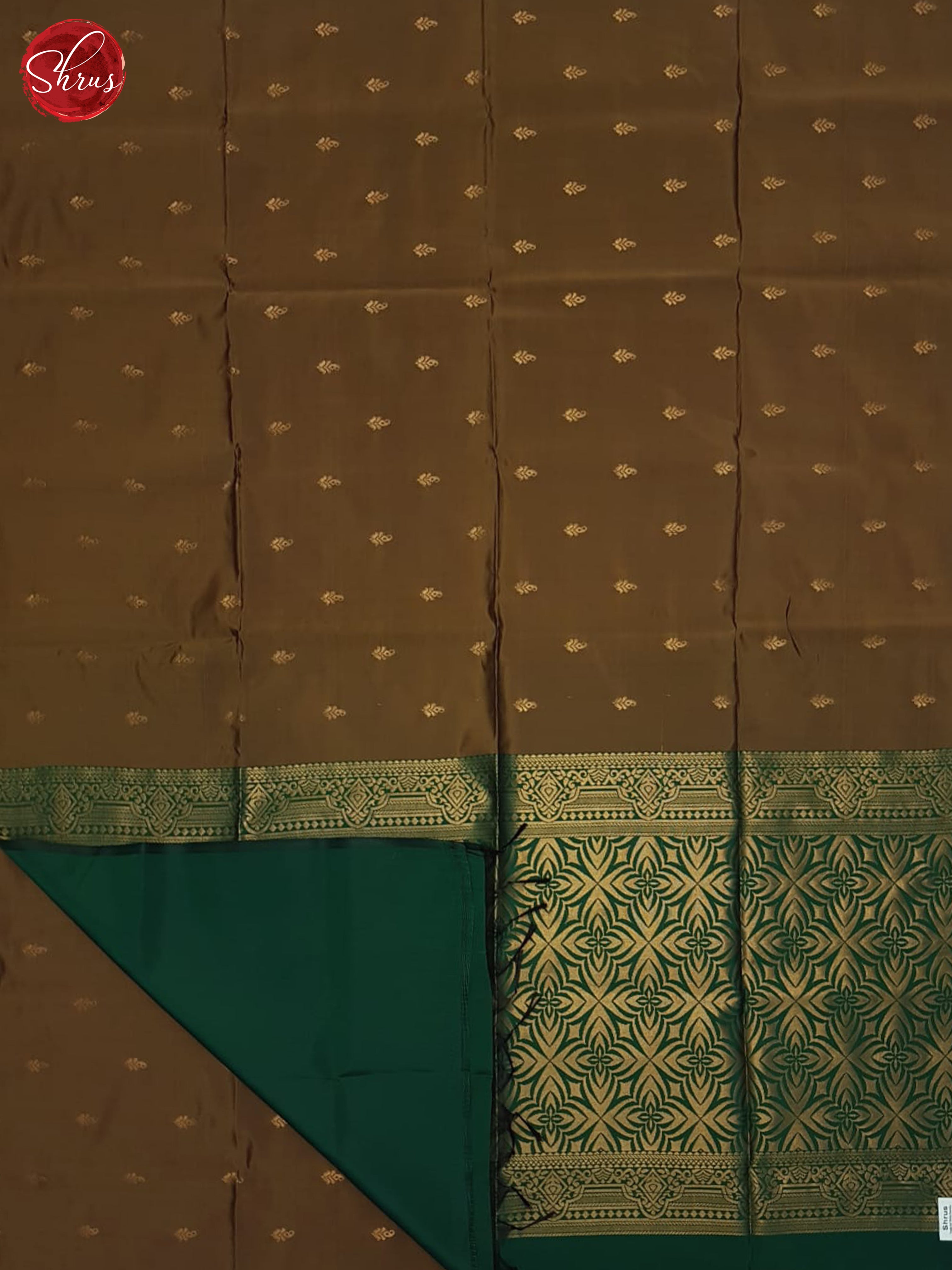Brown And Green- Semi Soft Silk Saree - Shop on ShrusEternity.com