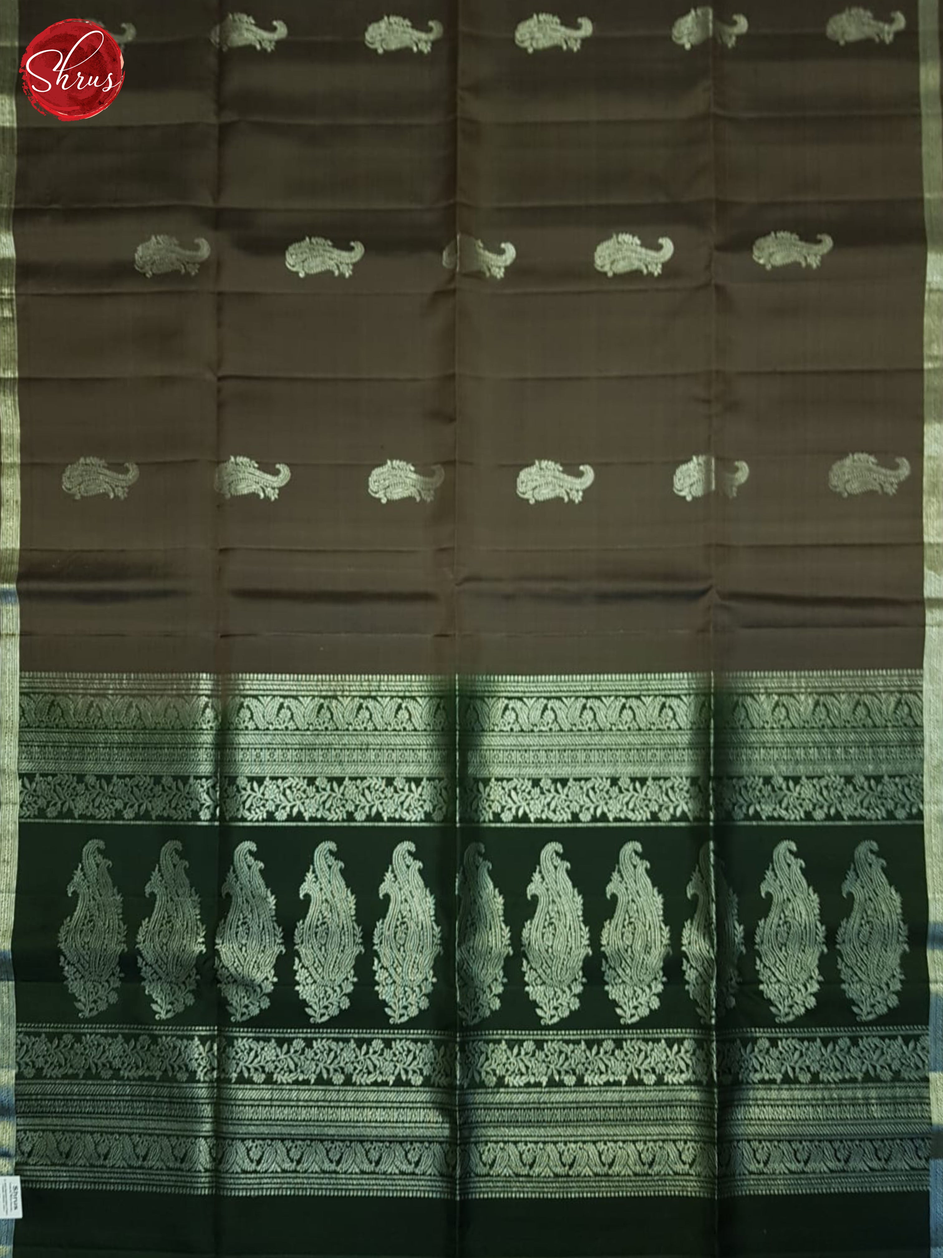 Dusty Brown & Green- Soft Silk Saree - Shop on ShrusEternity.com