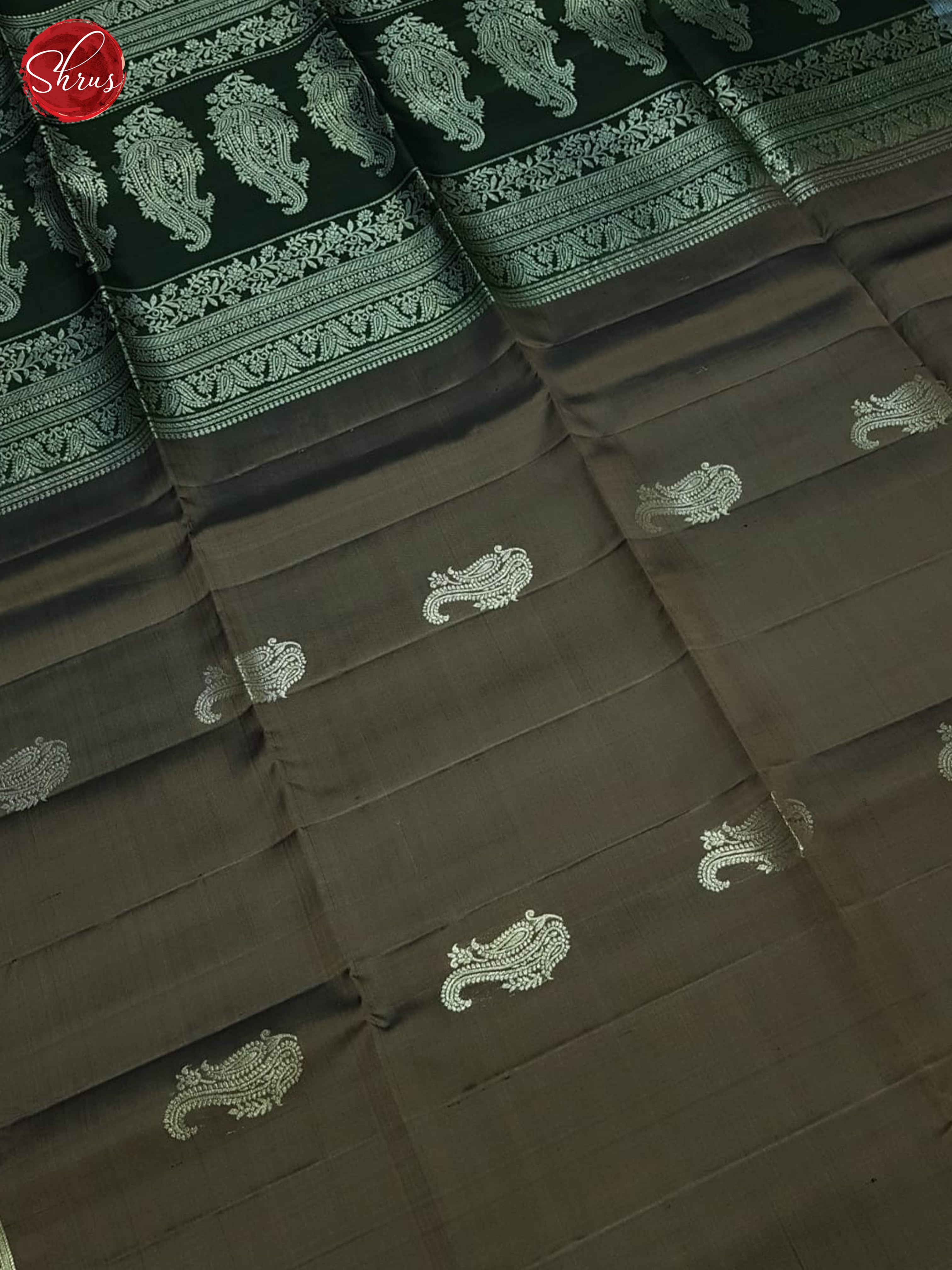 Dusty Brown & Green- Soft Silk Saree - Shop on ShrusEternity.com