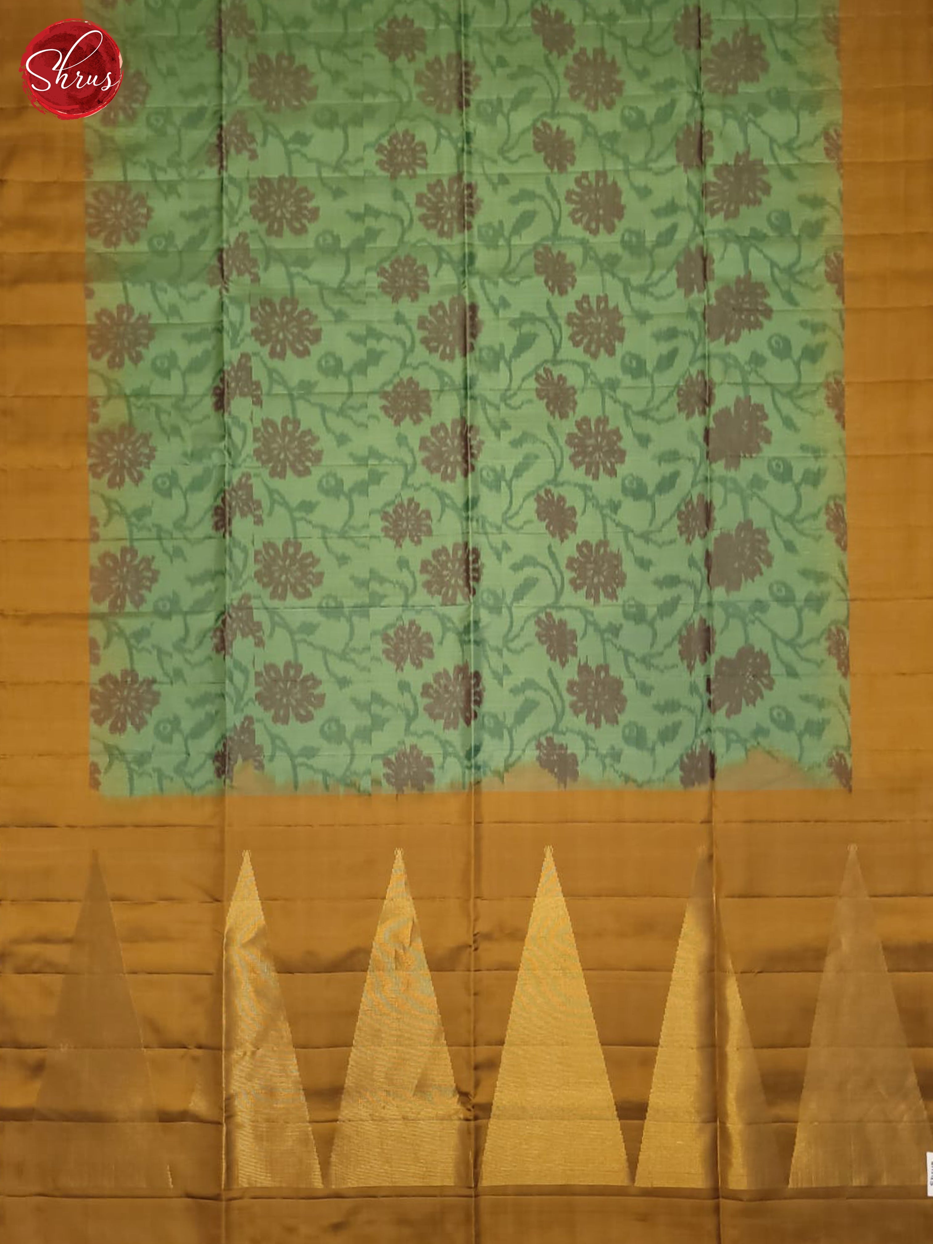 Green And Gold- Soft Silk Saree - Shop on ShrusEternity.com