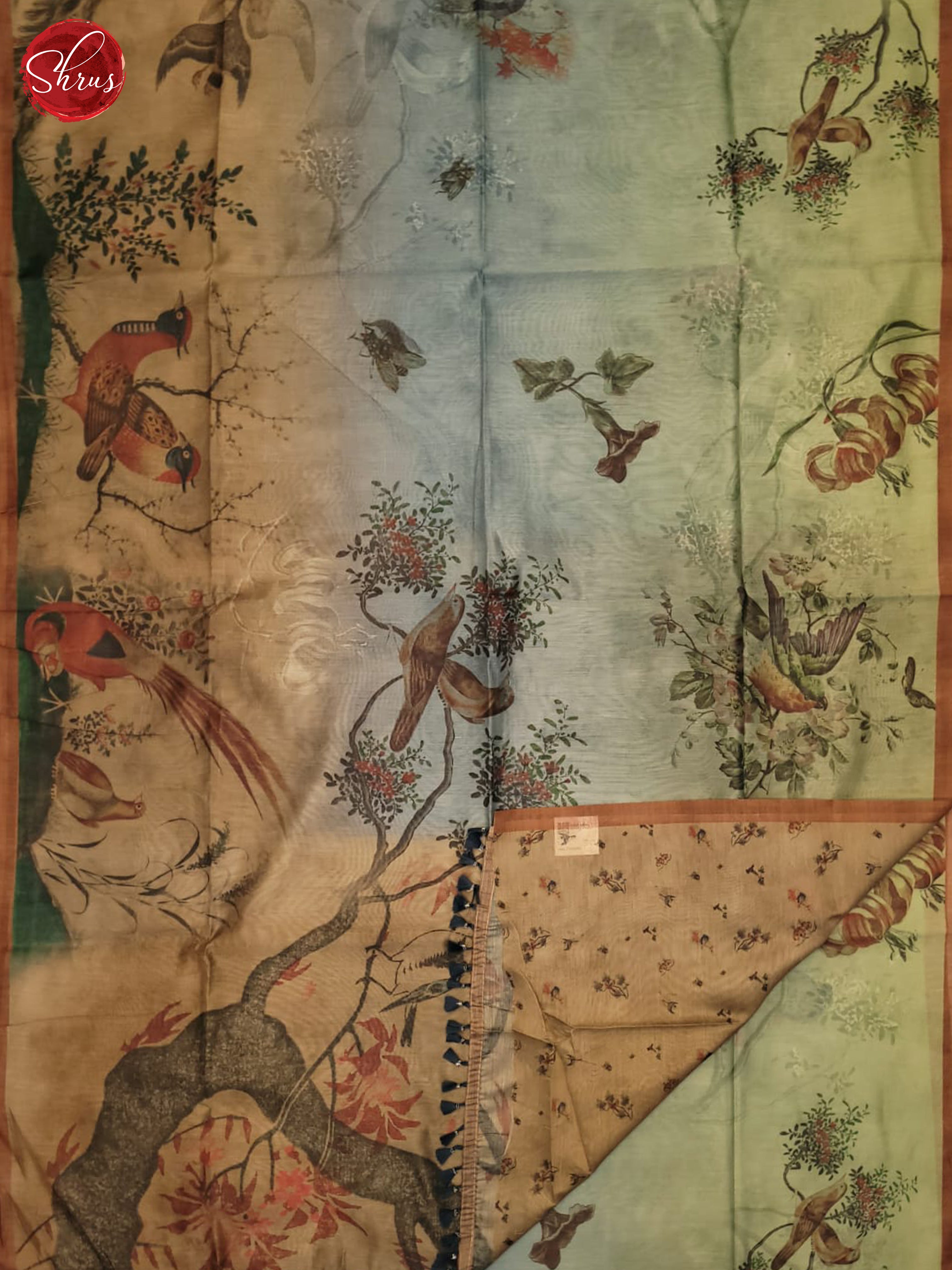 Brown & Green - Semi Chanderi Saree - Shop on ShrusEternity.com