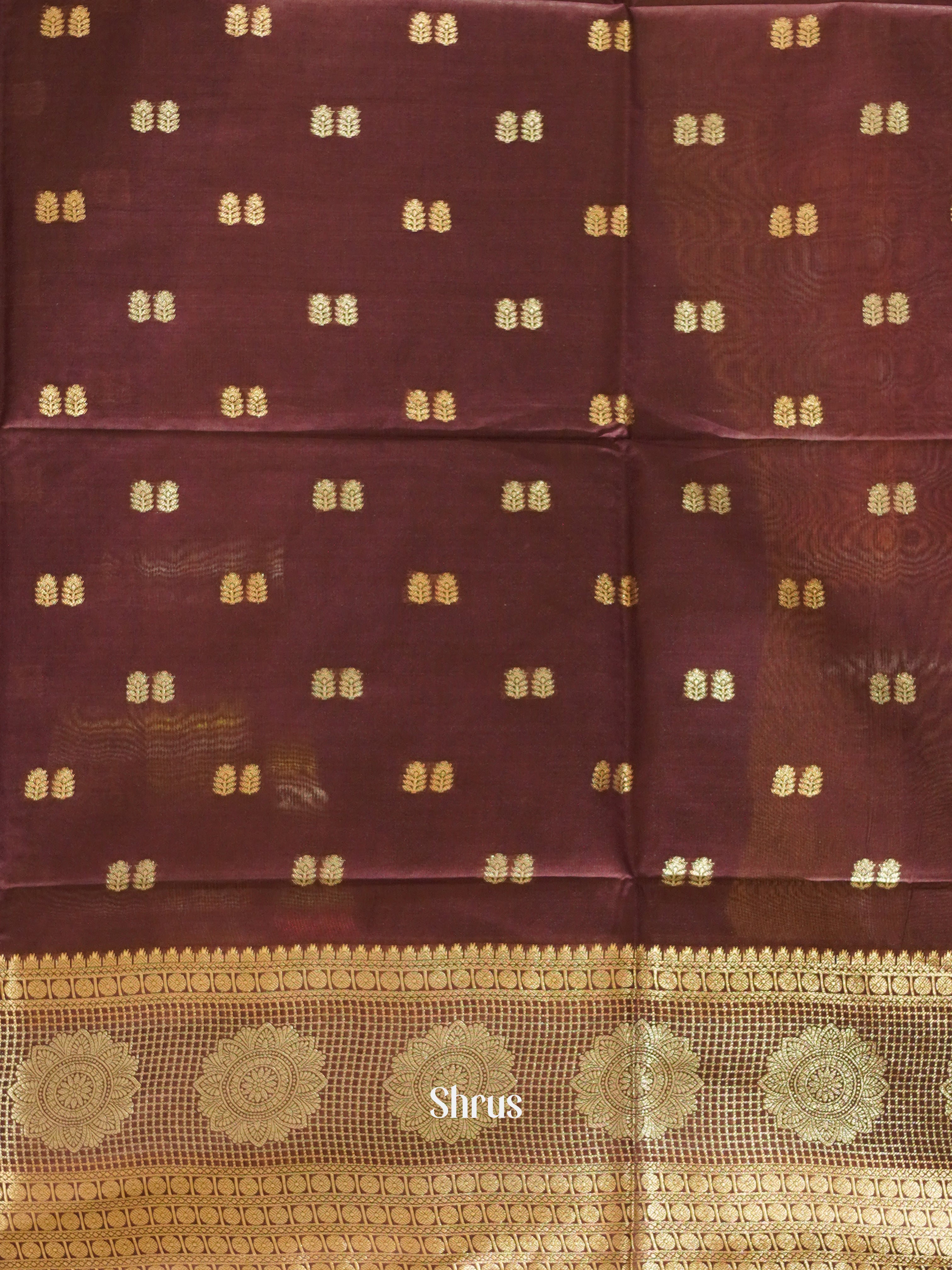 Brown(Single Tone)- Semi Silk Cotton Saree - Shop on ShrusEternity.com