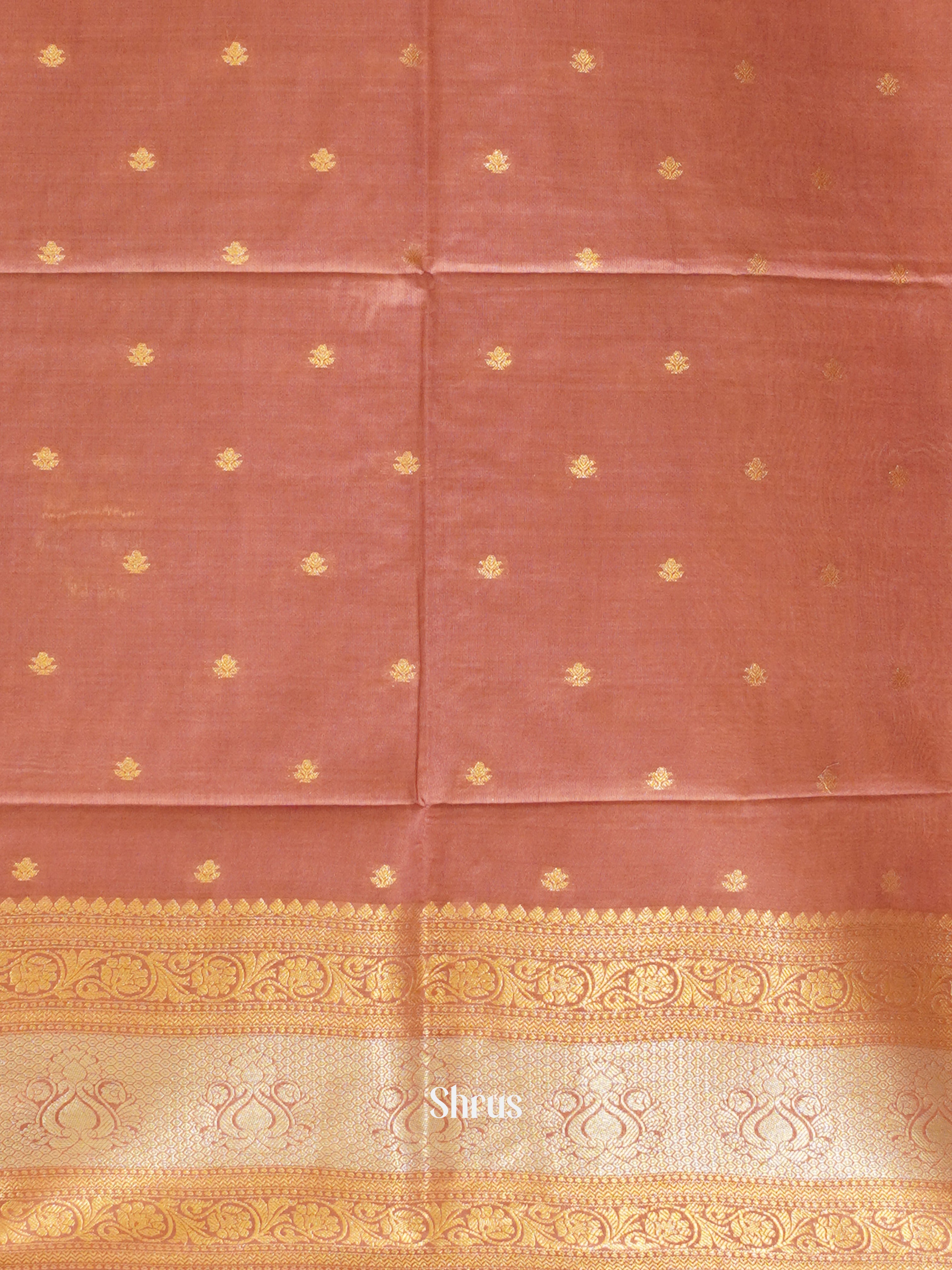 CDS27015 - Semi Silkcotton Saree - Shop on ShrusEternity.com
