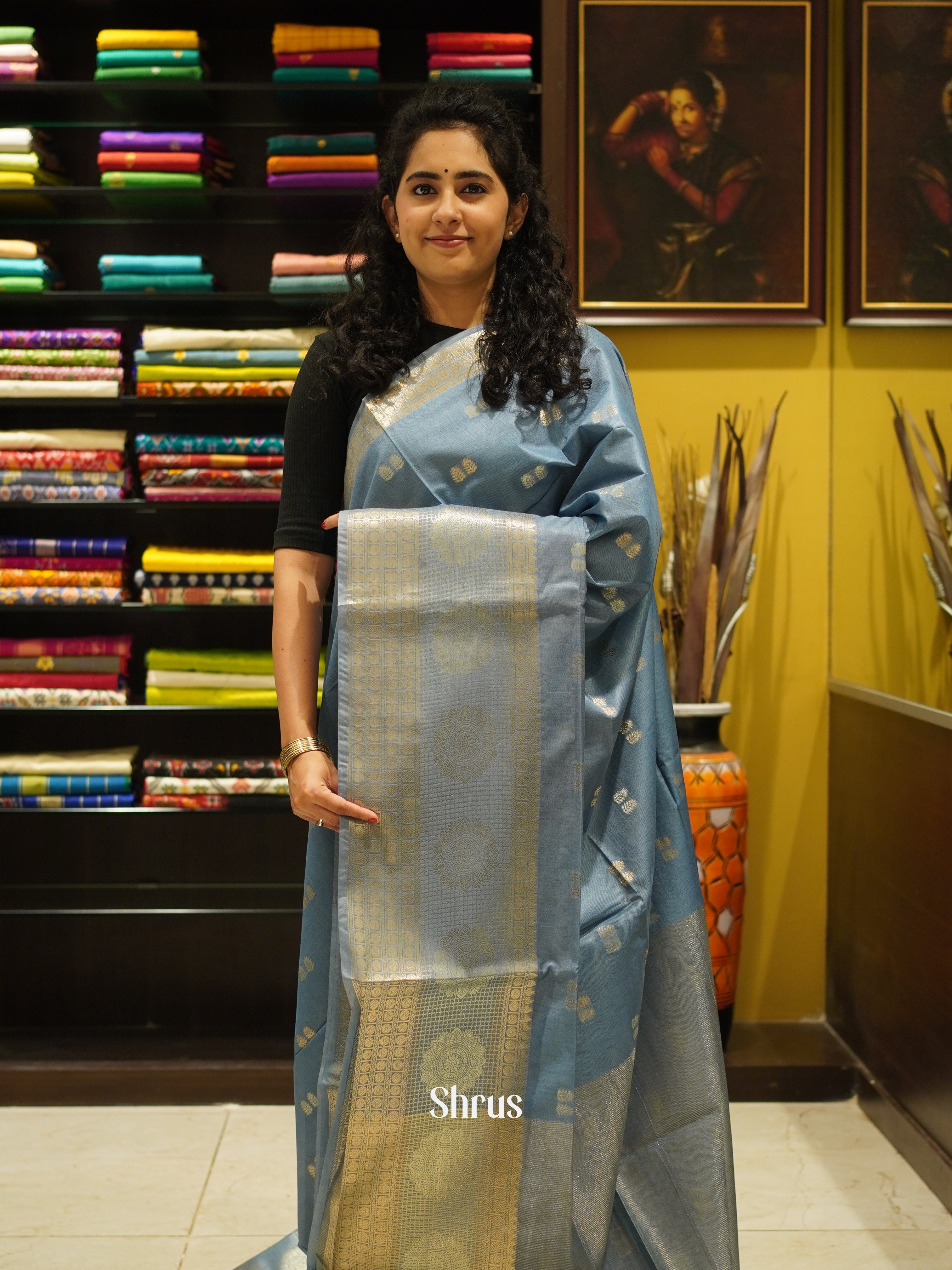 Bluish Grey(Single Tone) - Semi Silk Cotton Saree - Shop on ShrusEternity.com