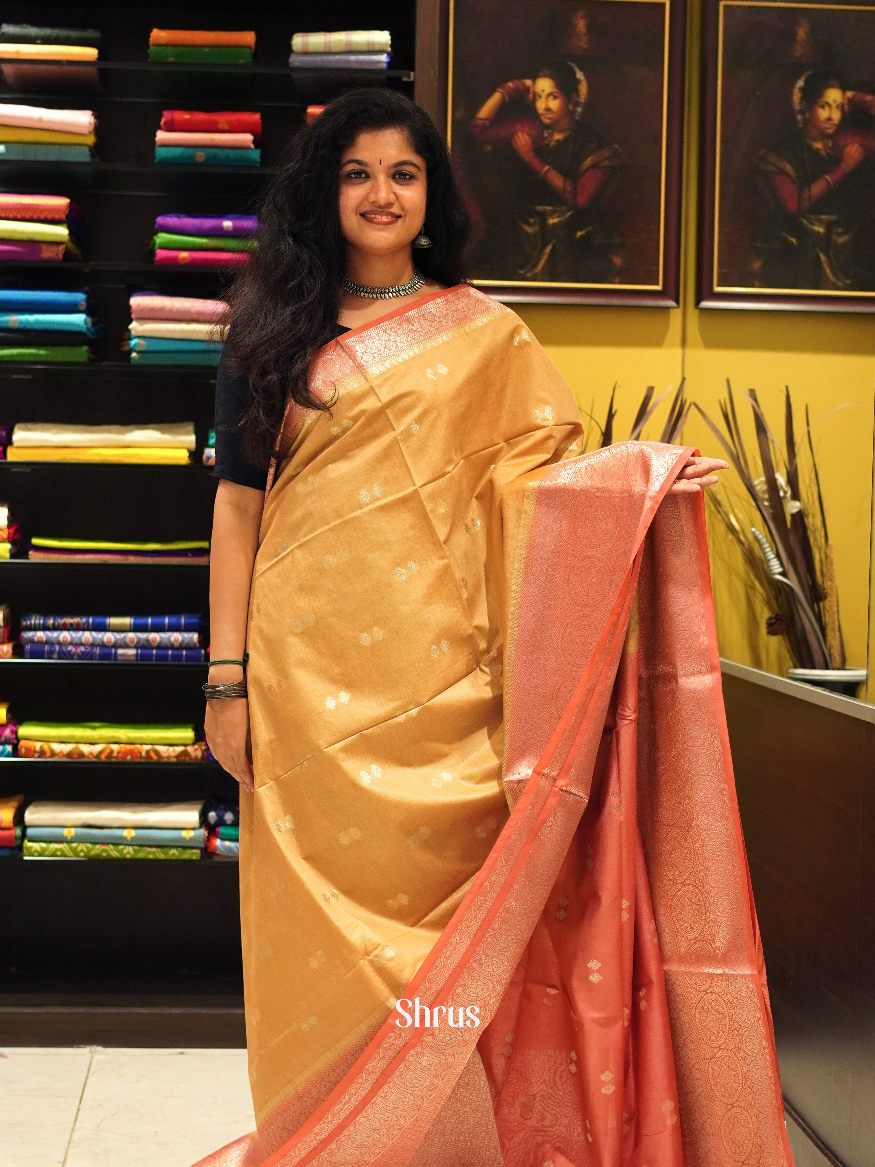 Light Brown & Red - North silkcotton Saree - Shop on ShrusEternity.com