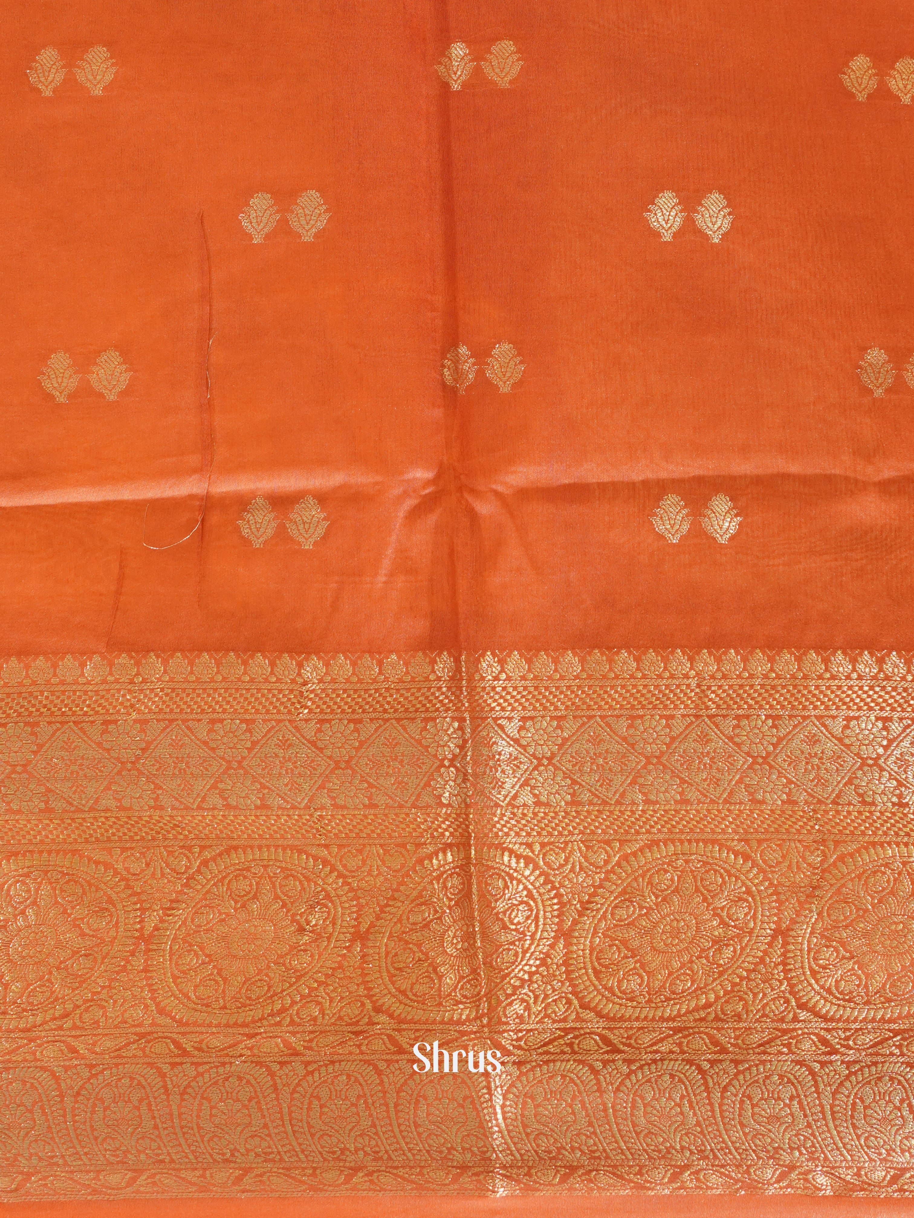 Light Brown & Red - North silkcotton Saree - Shop on ShrusEternity.com