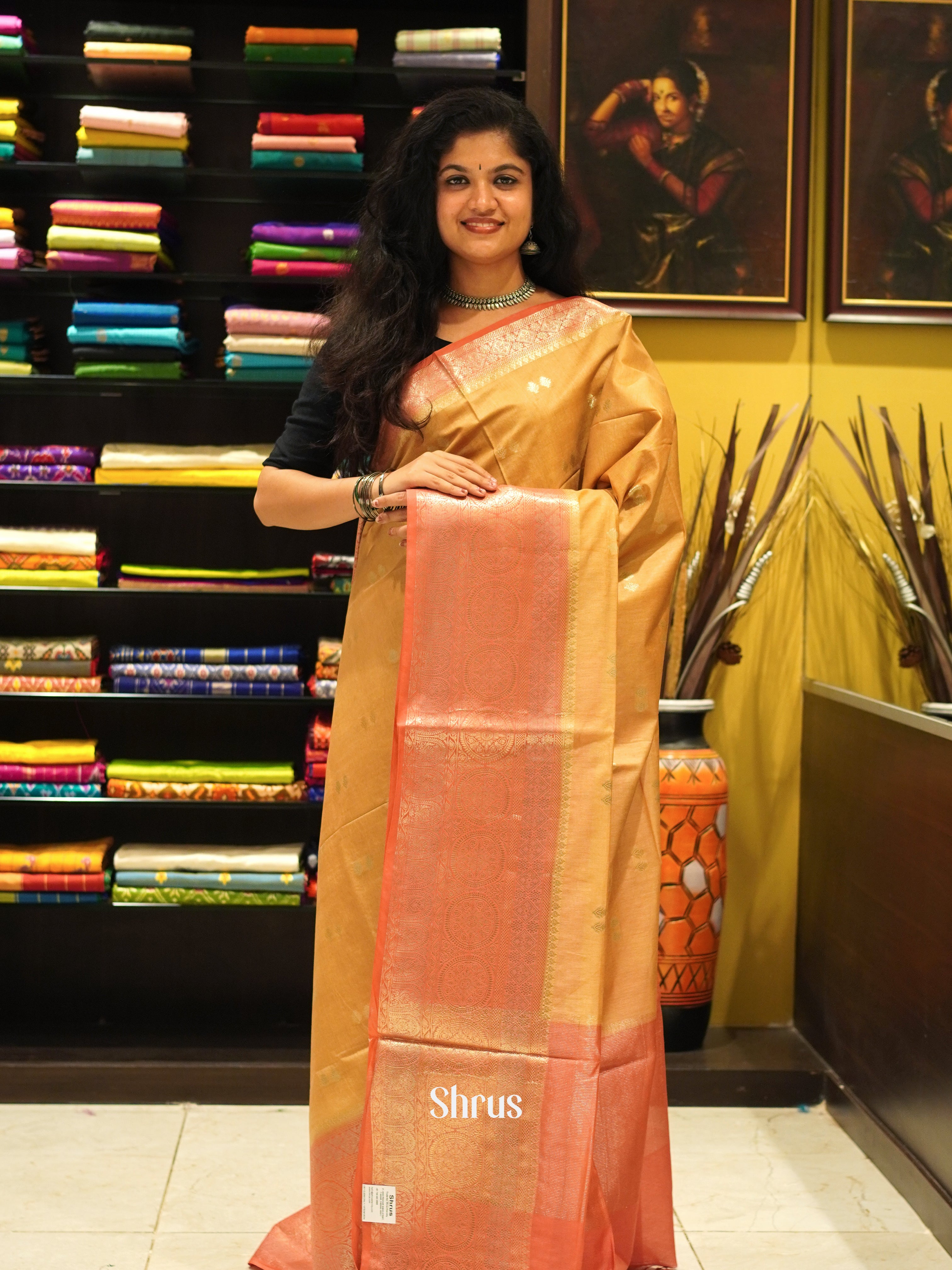 Light Brown & Red - North silkcotton Saree - Shop on ShrusEternity.com