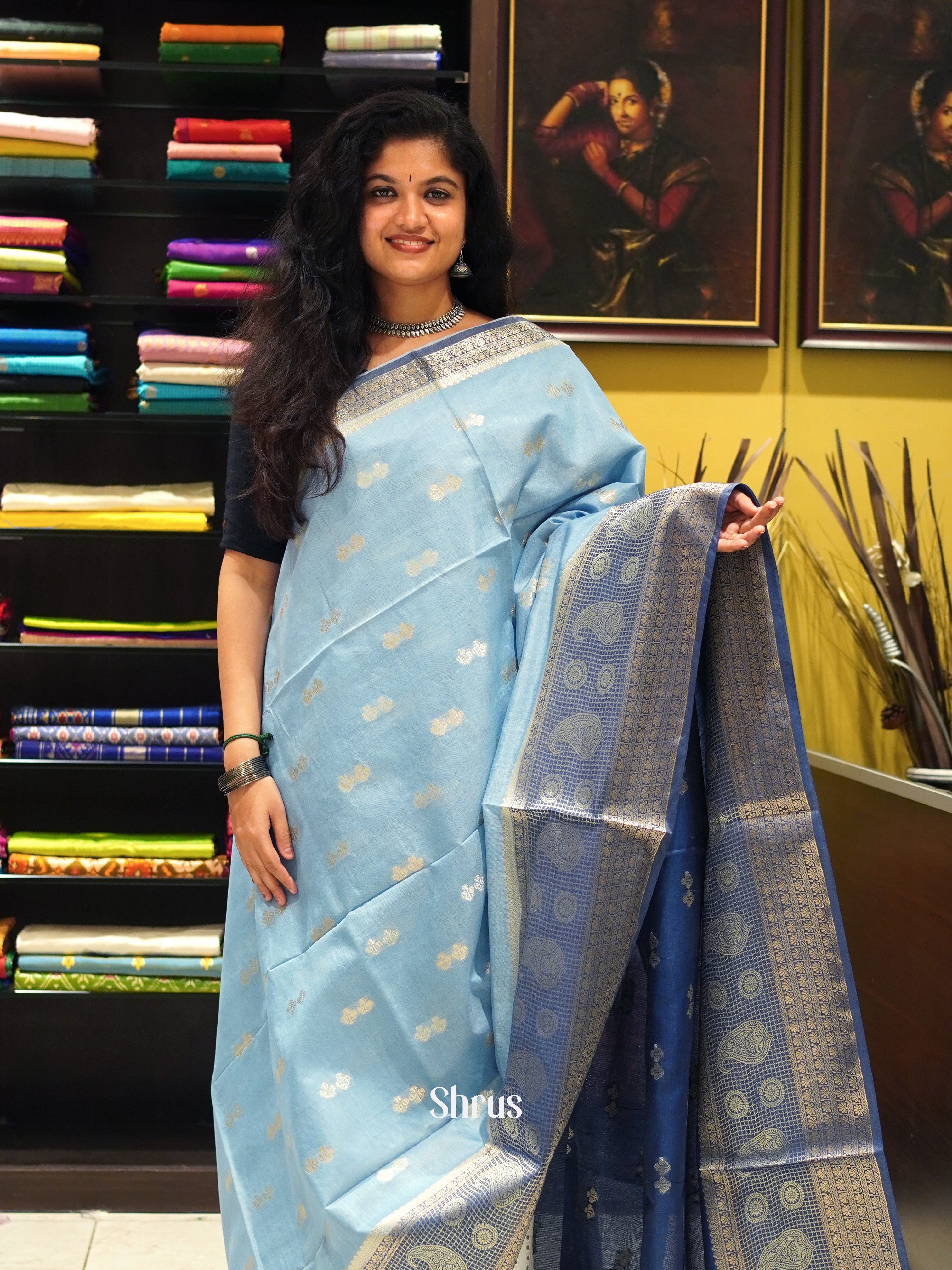 Light Blue & Blue - North silk cotton Saree - Shop on ShrusEternity.com