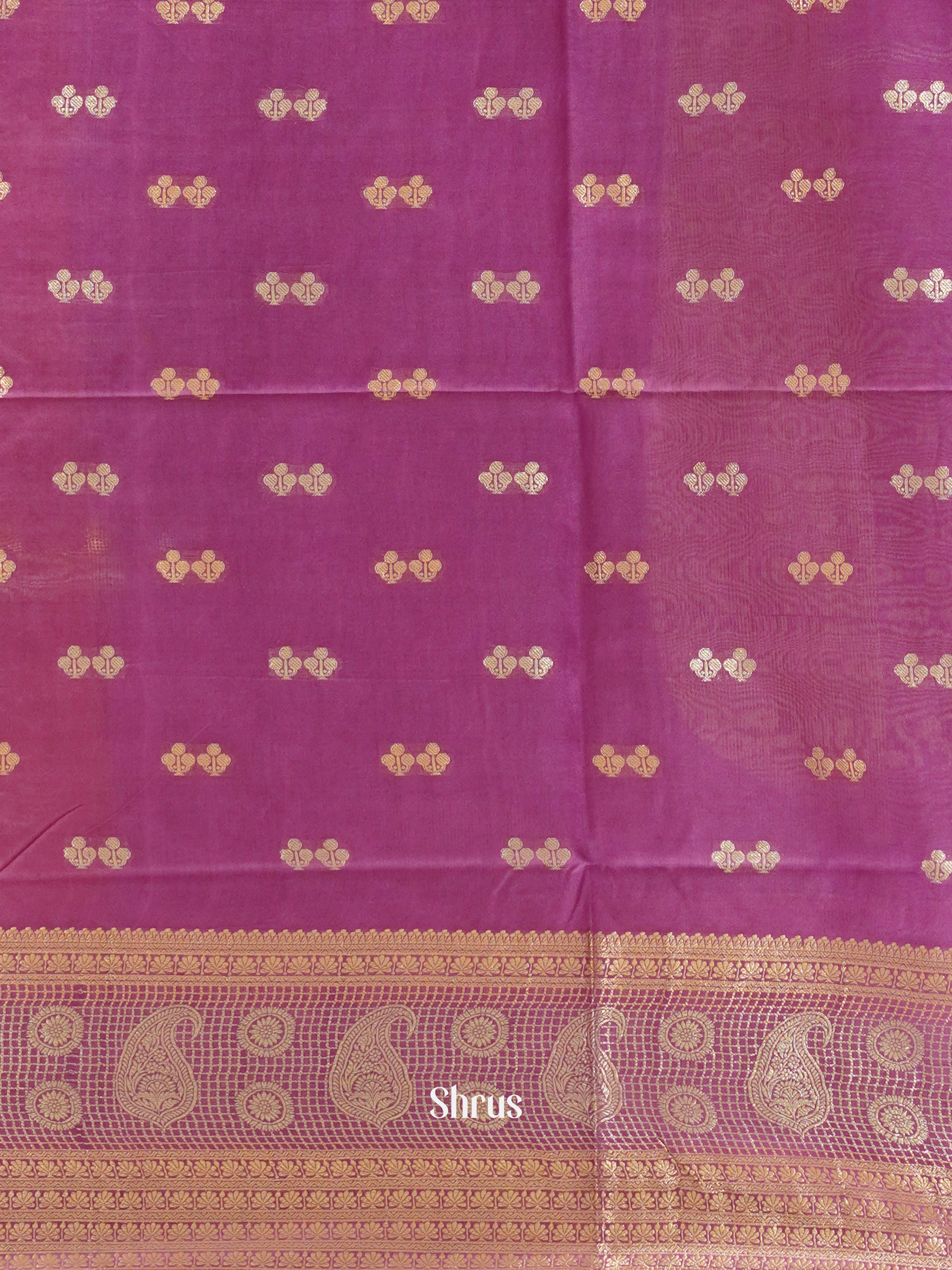 Orange & Purple - North Silkcotton Saree - Shop on ShrusEternity.com