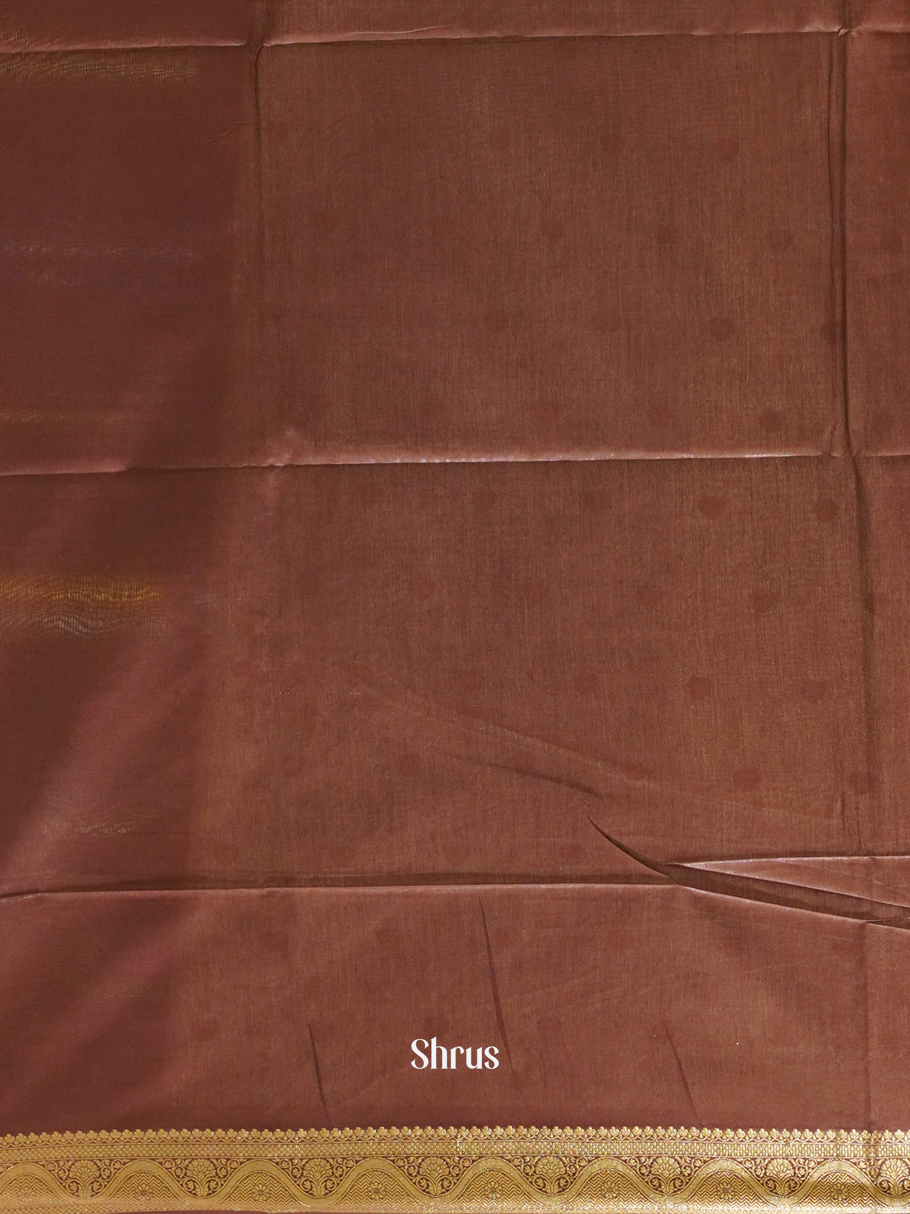 Cream & Brown - North Silkcotton Saree - Shop on ShrusEternity.com