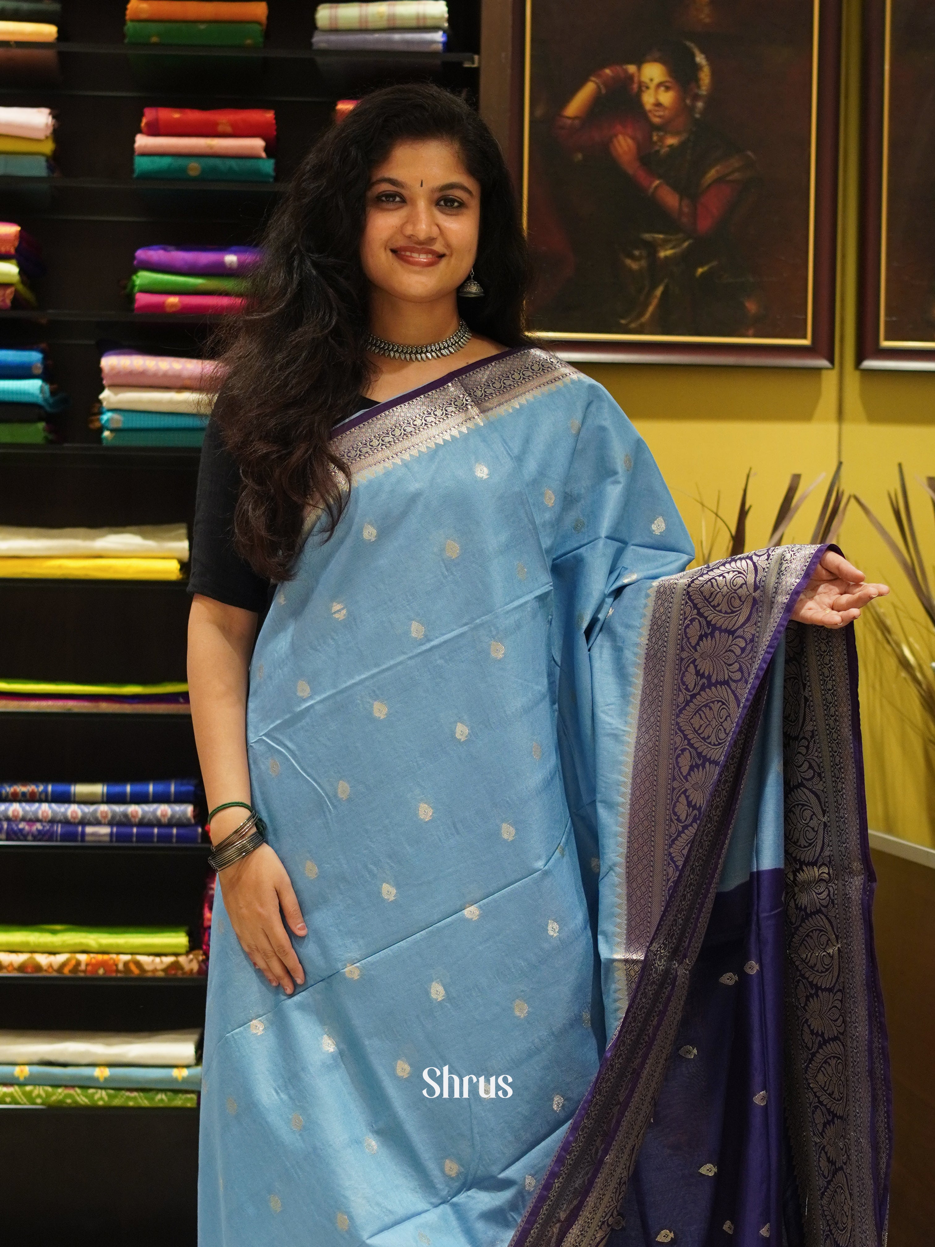 Light Blue & Blue - North Silkcotton Saree - Shop on ShrusEternity.com