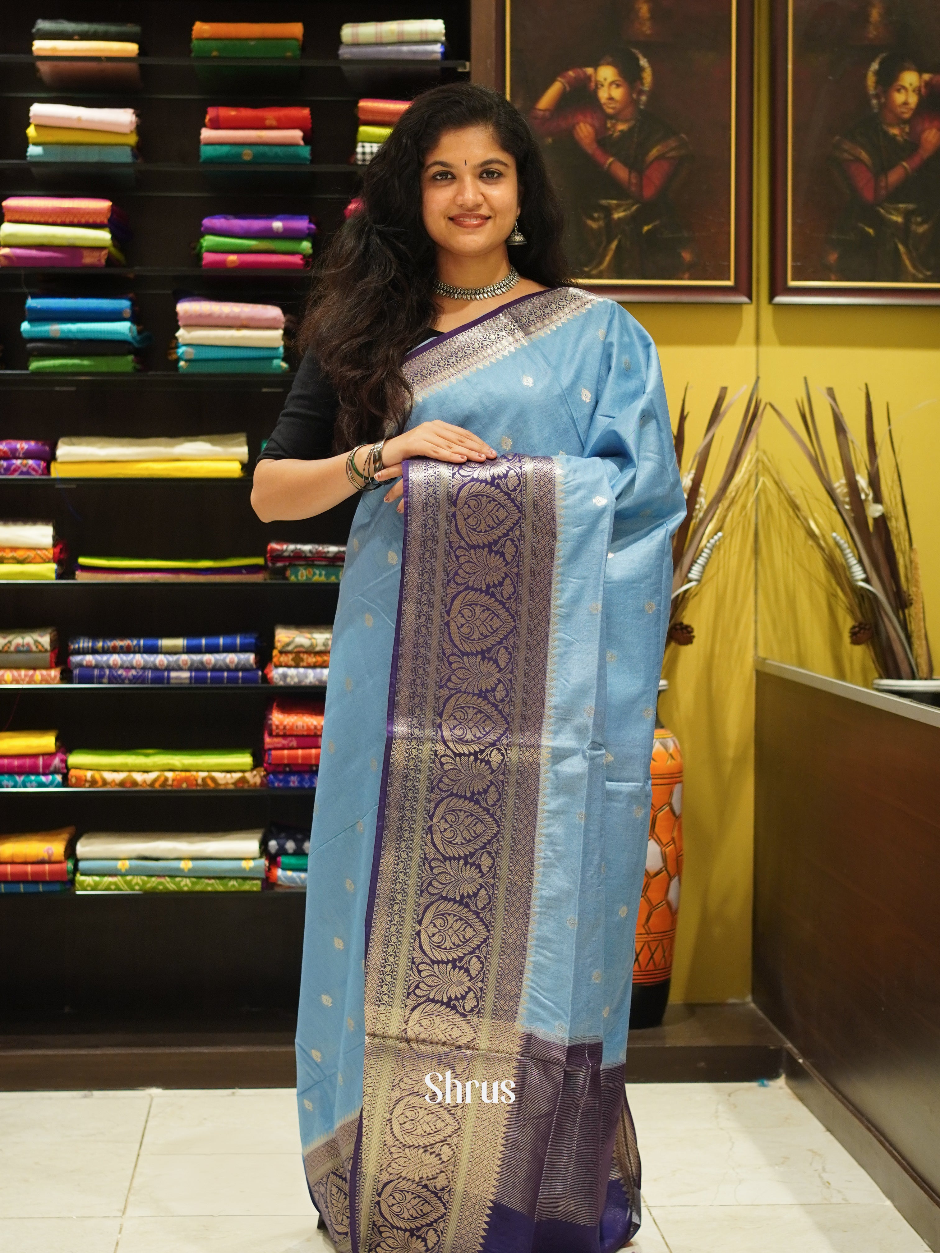 Light Blue & Blue - North Silkcotton Saree - Shop on ShrusEternity.com