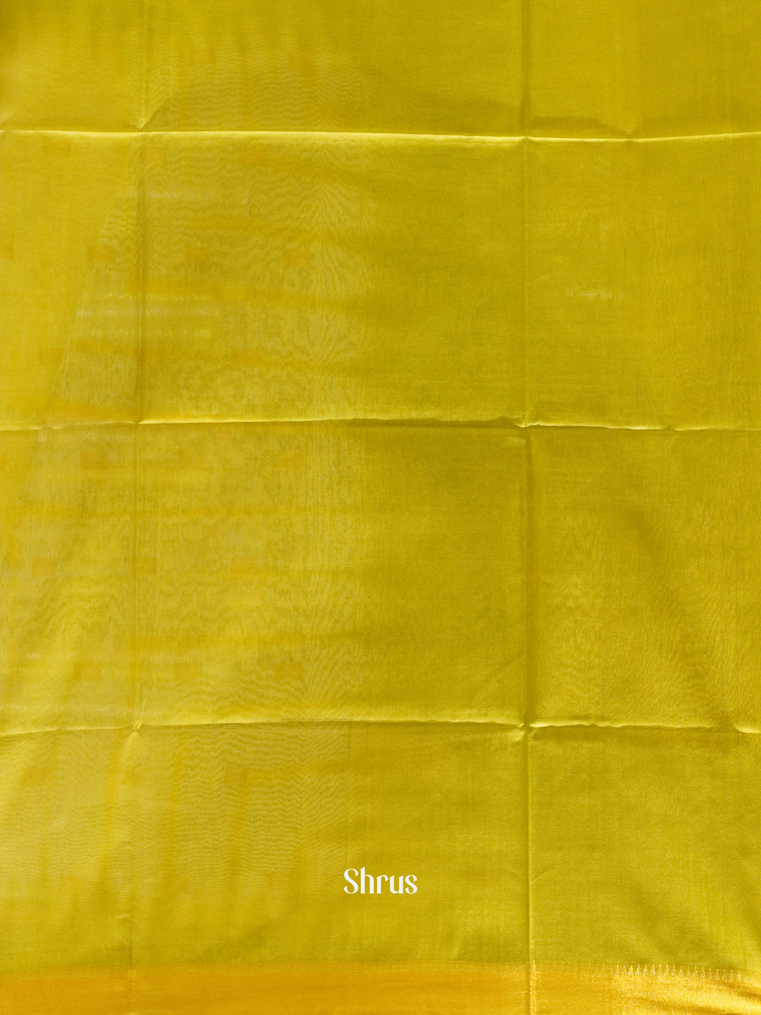 Cream & Green- Shibori Saree - Shop on ShrusEternity.com