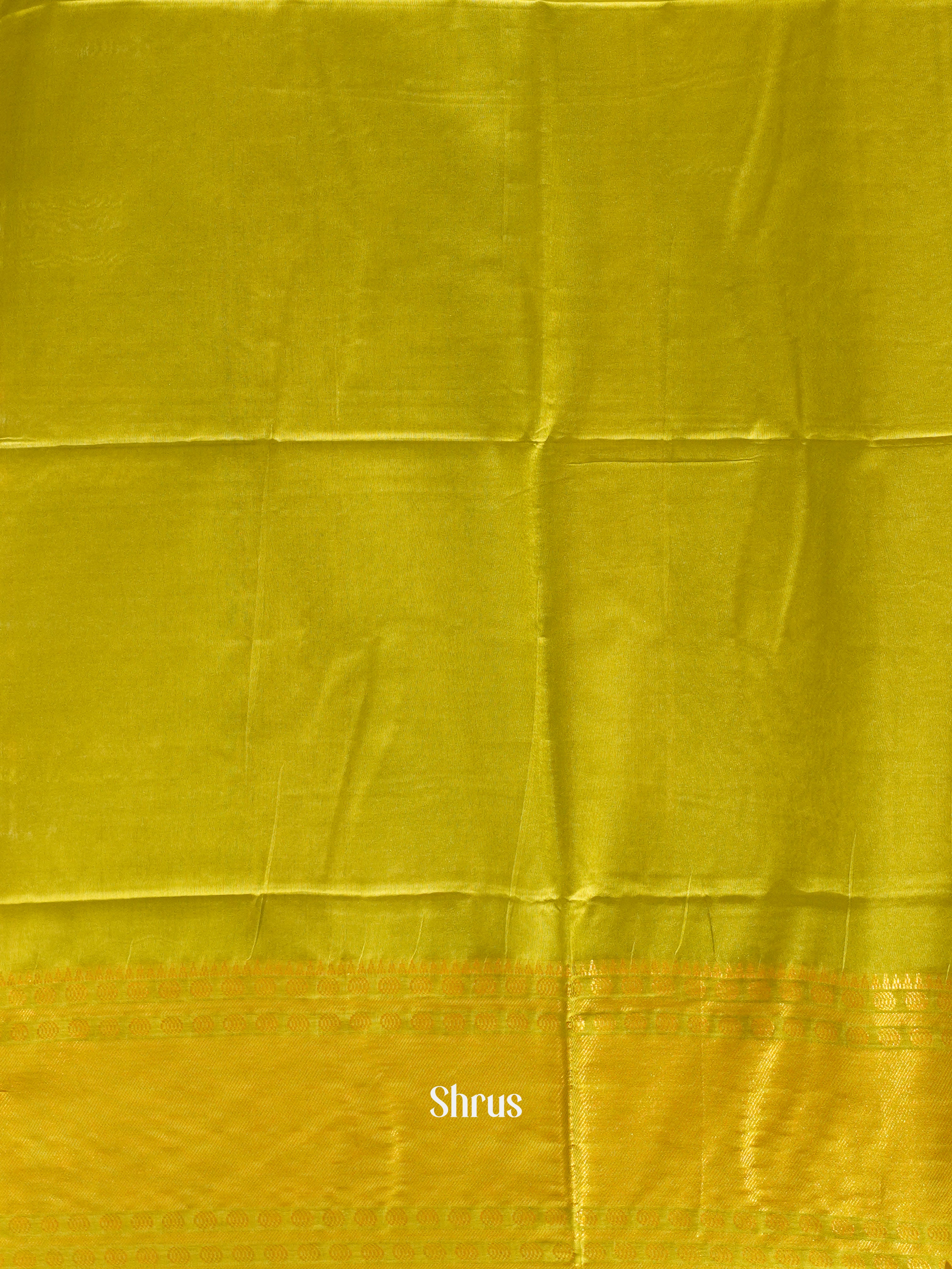 Cream & Green - Shibori Saree - Shop on ShrusEternity.com