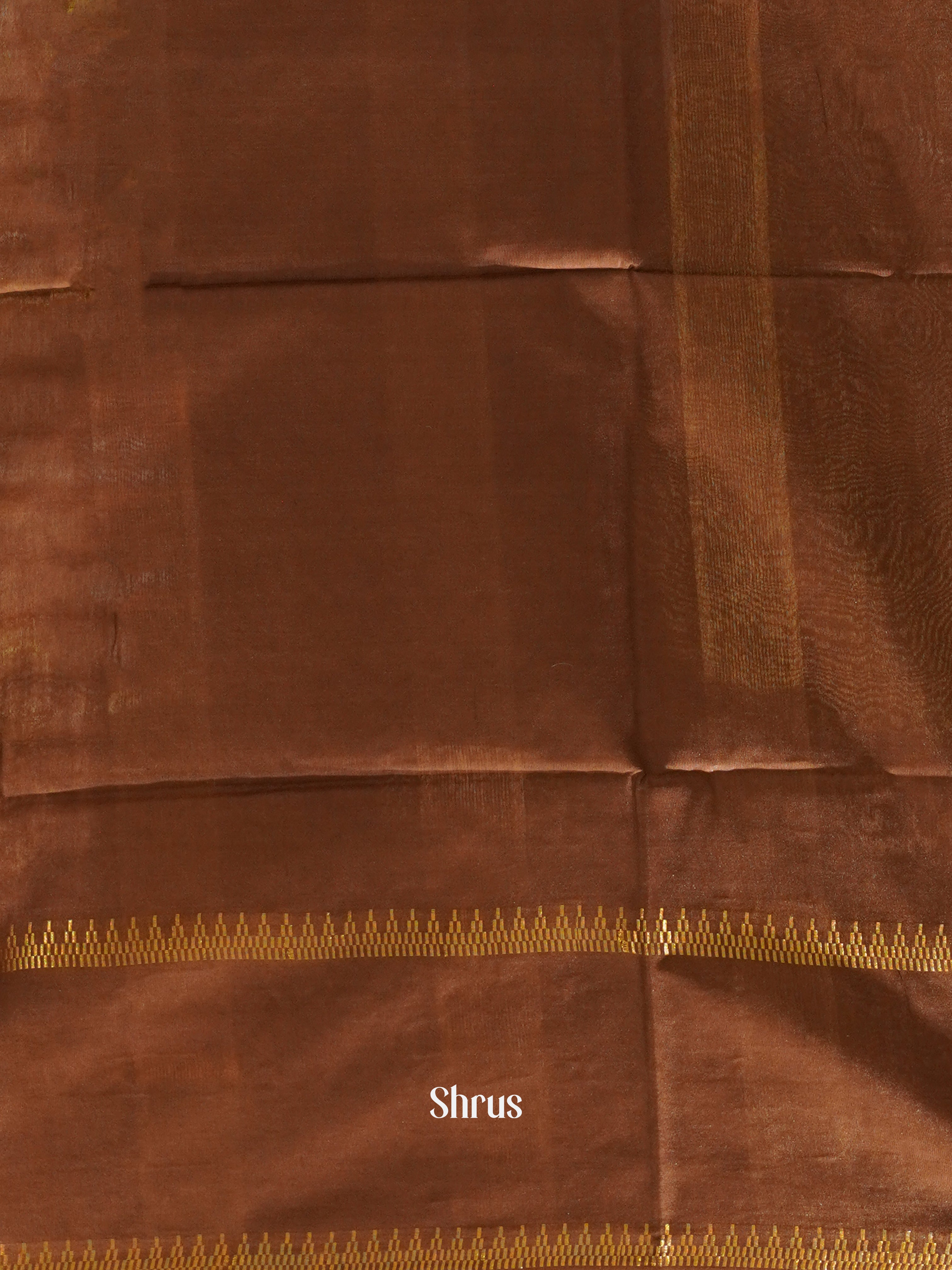 Cream & Brown - Shibori Saree - Shop on ShrusEternity.com