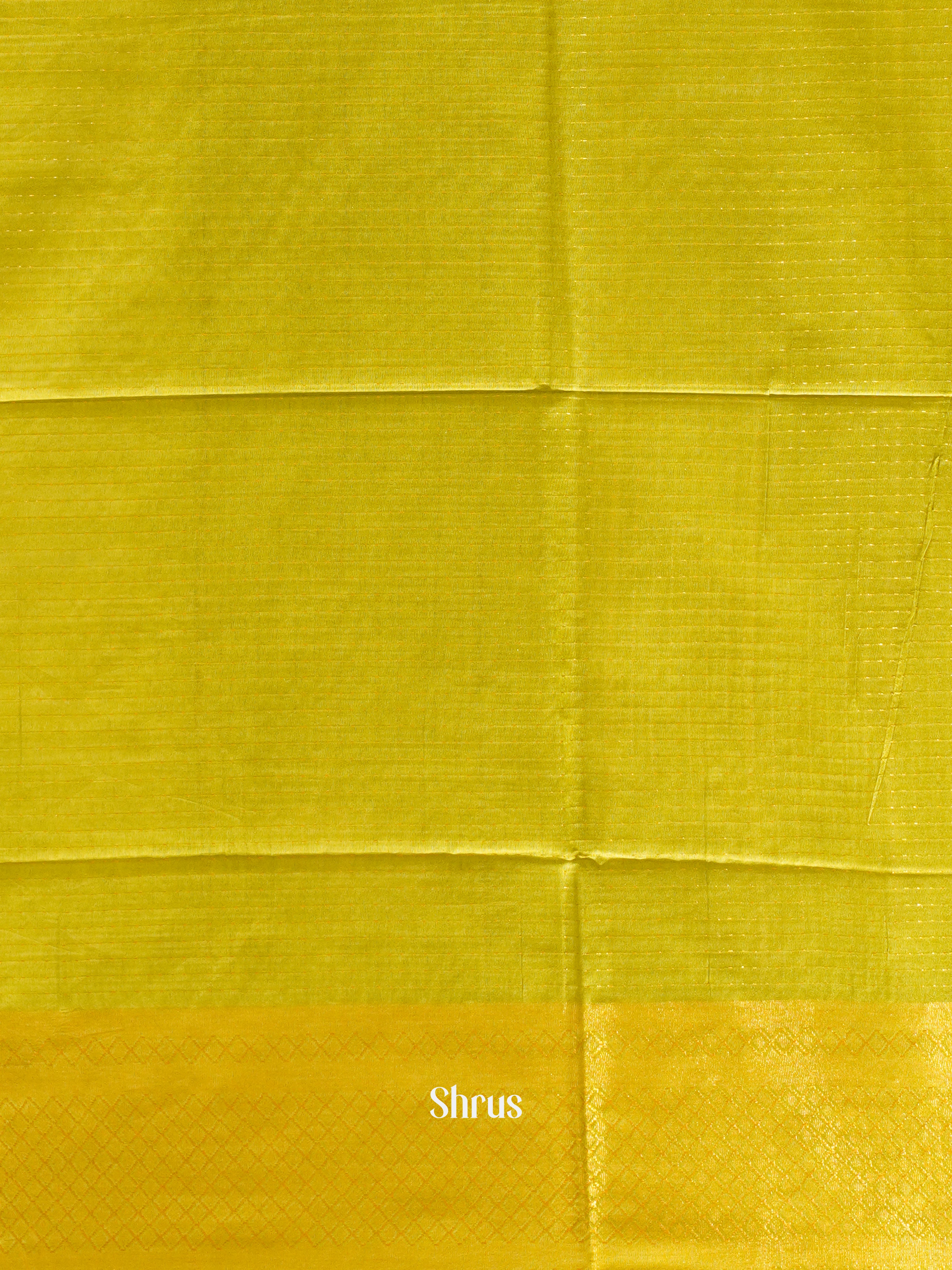 Green & Cream - Shibori Saree - Shop on ShrusEternity.com