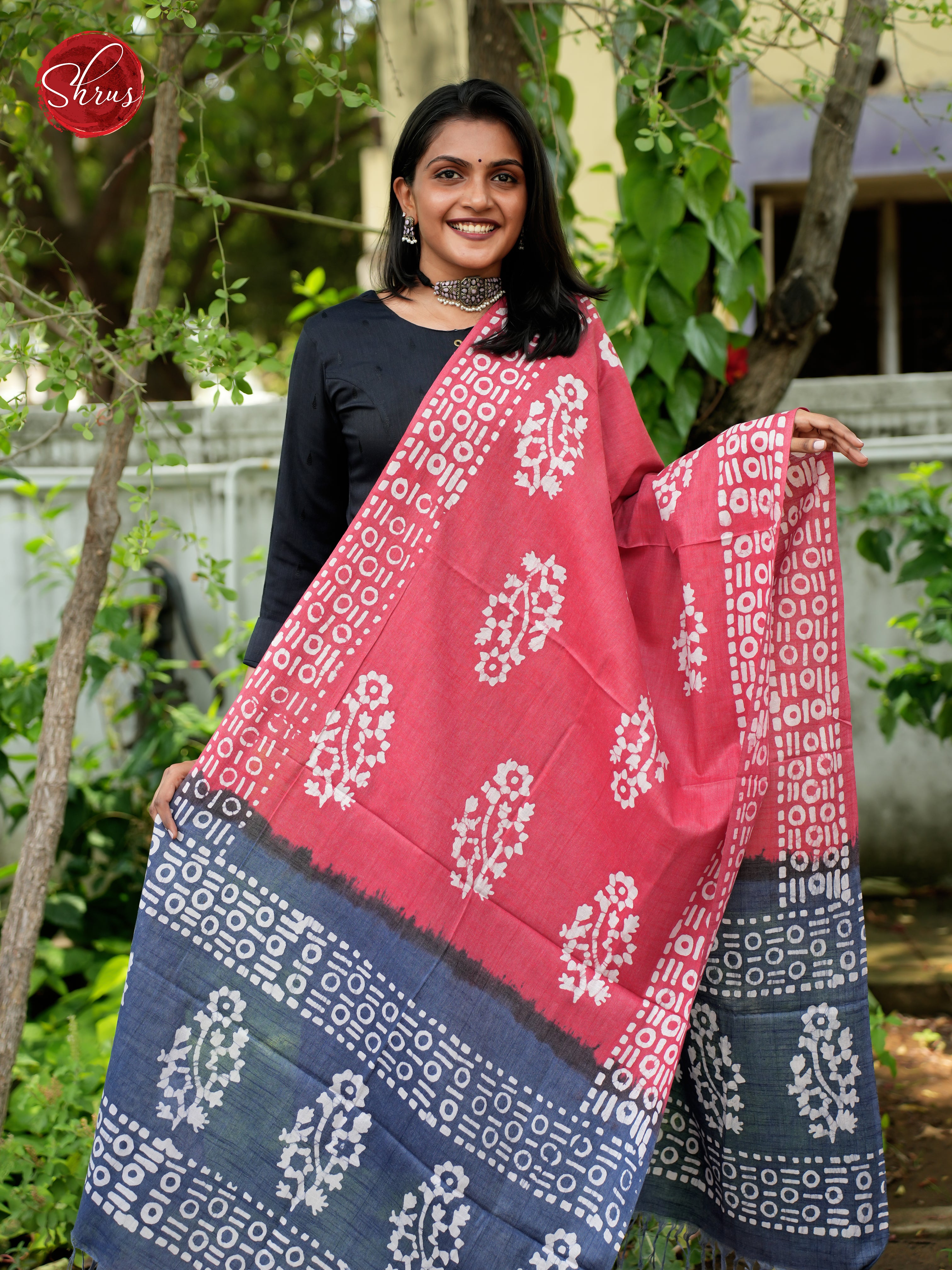 Pink & Blue - Bhatik Dupatta - Shop on ShrusEternity.com
