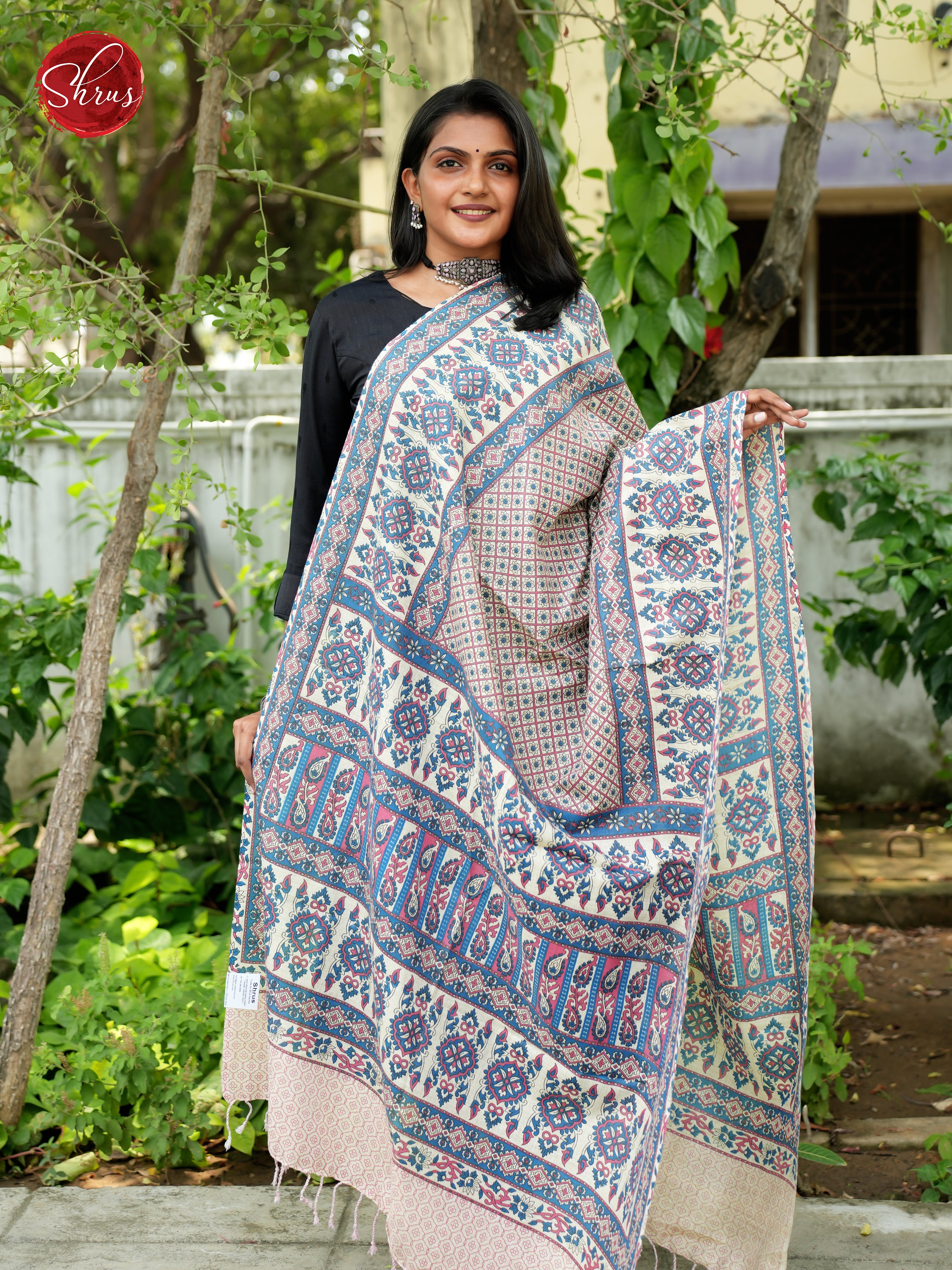 Grey & Blue -Madhubani  Printed Cotton Dupatta - Shop on ShrusEternity.com