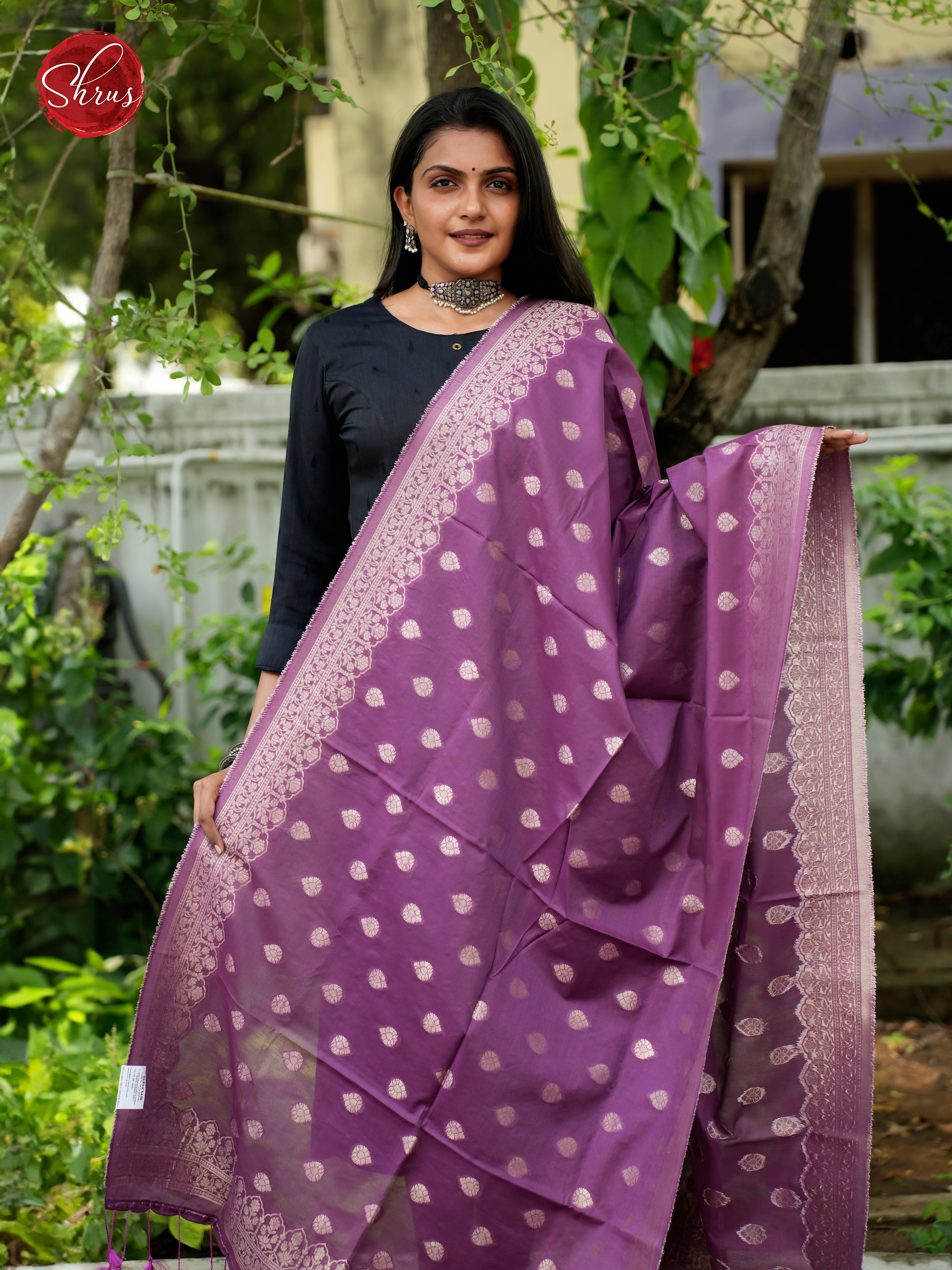 Purple - Semi Banarasi Dupatta - Shop on ShrusEternity.com