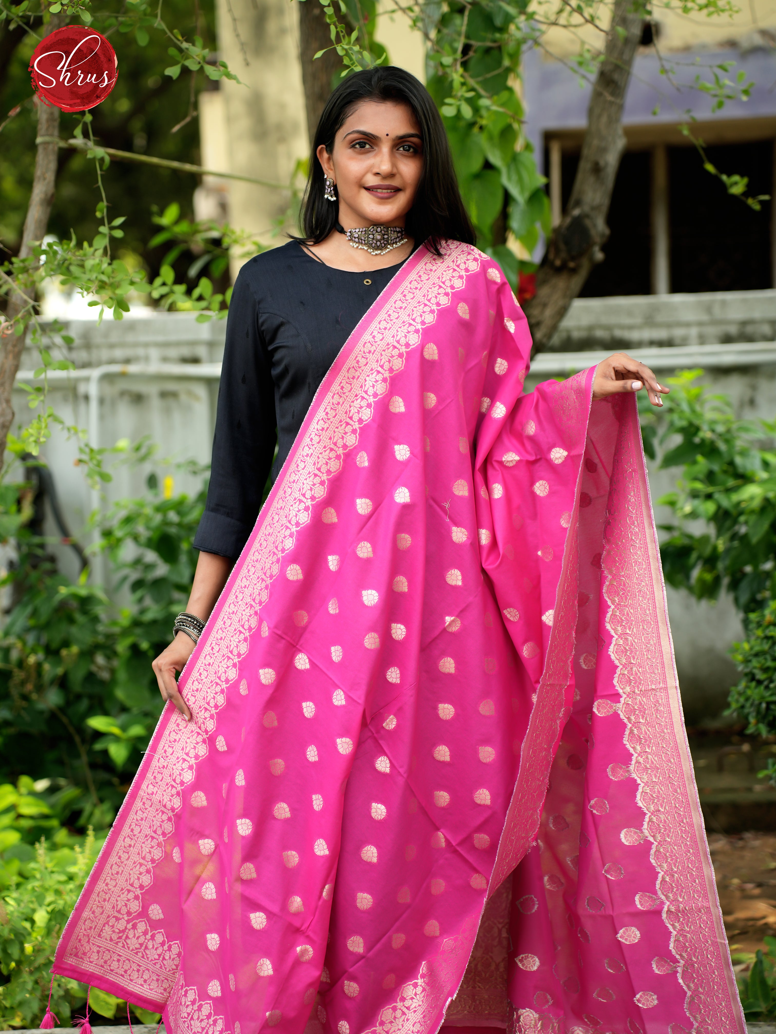 Pink - Semi Banarasi Dupatta - Shop on ShrusEternity.com