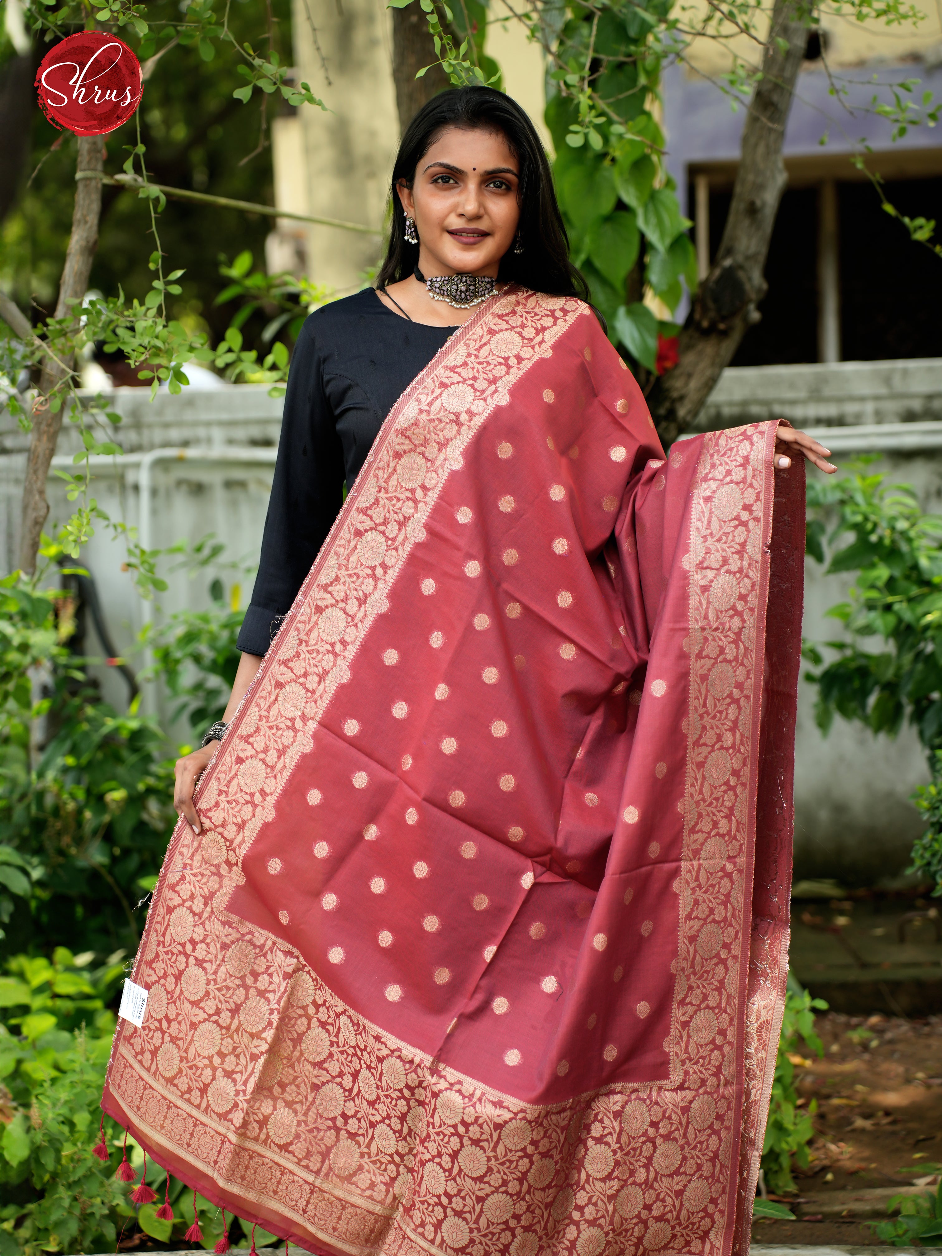 Brick - Semi Banarasi Dupatta - Shop on ShrusEternity.com