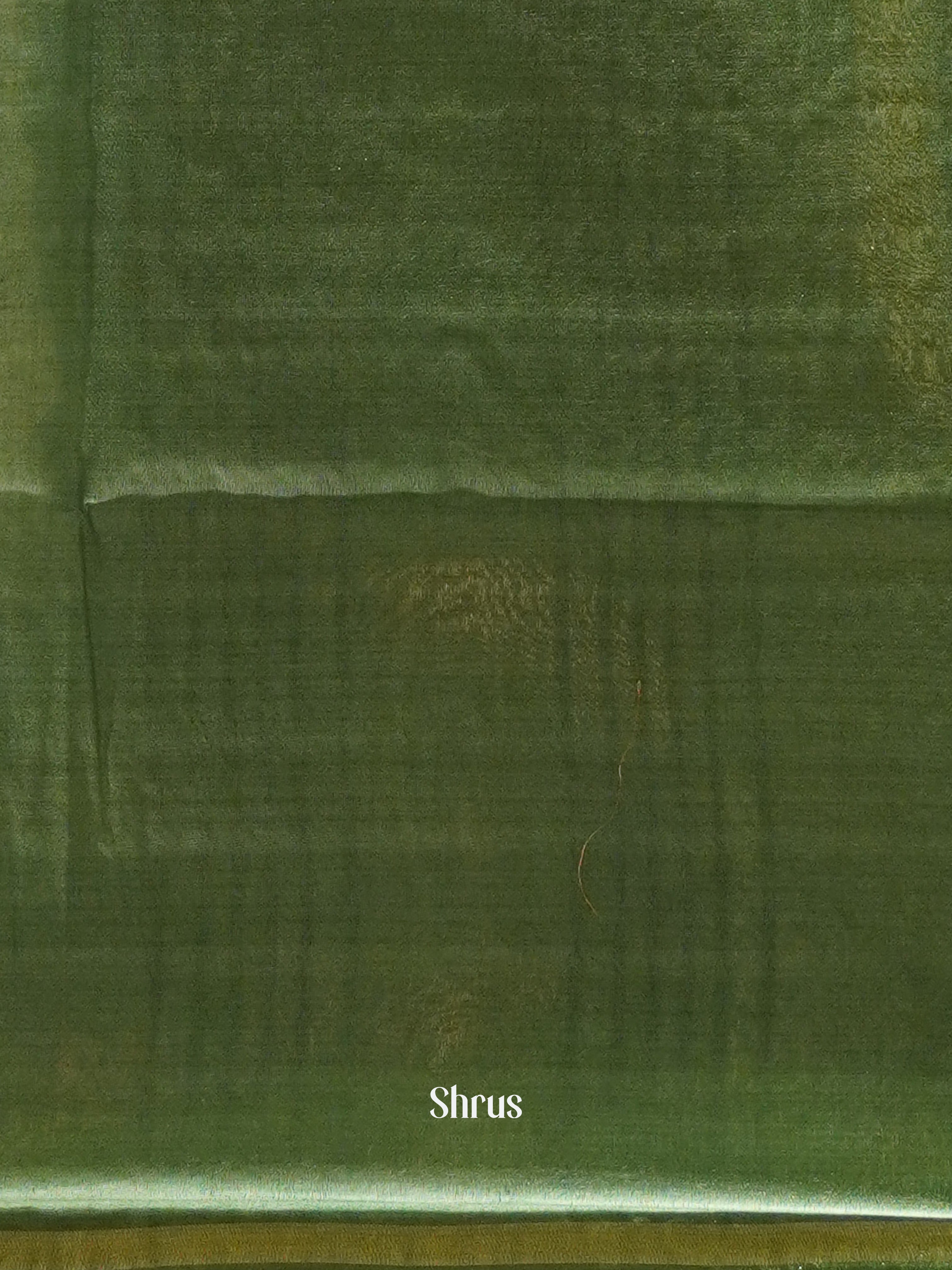 Light Grey & Green - Semi Tussar Saree - Shop on ShrusEternity.com