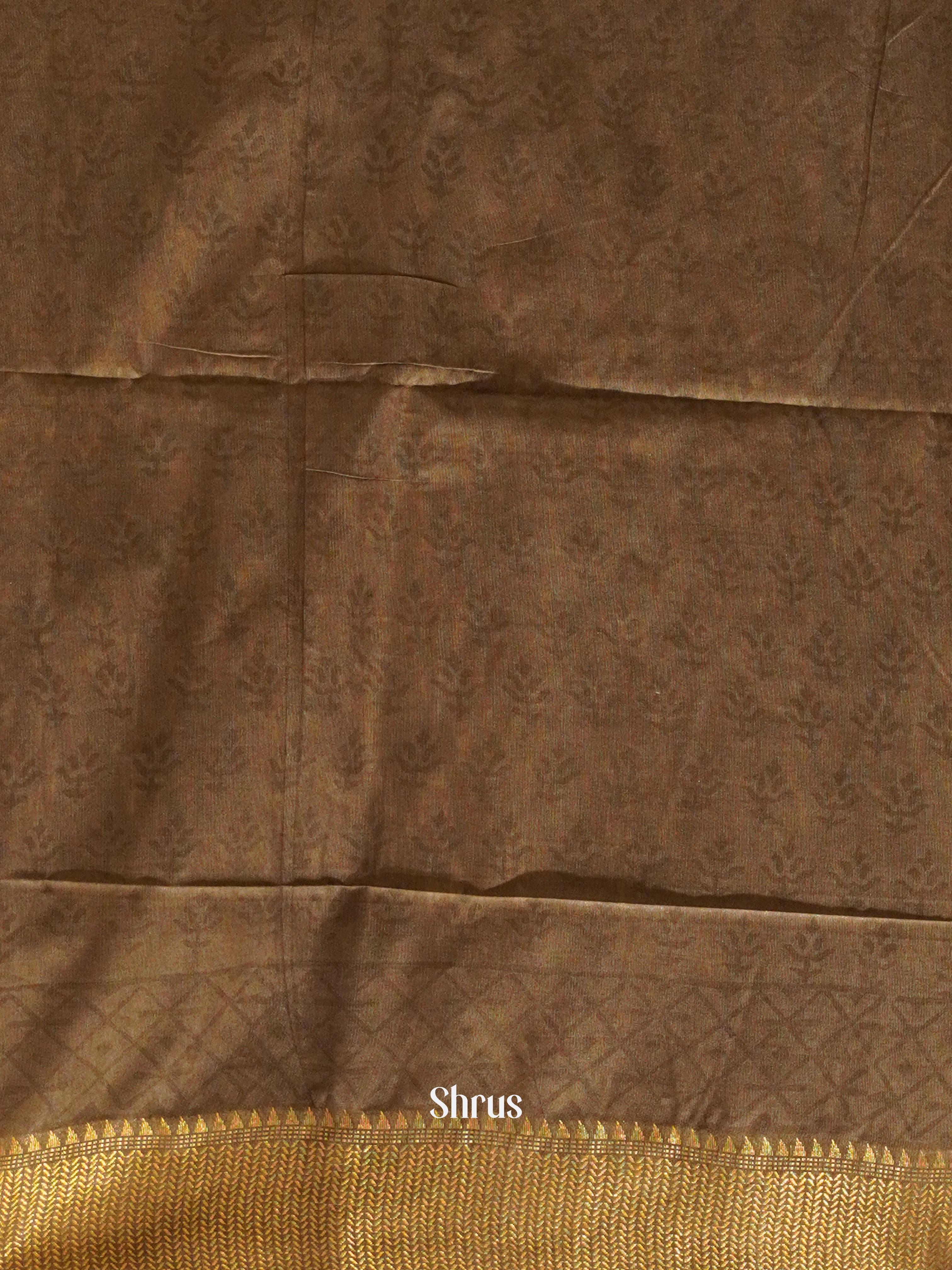 Cream & Brown - Semi Chanderi Saree - Shop on ShrusEternity.com